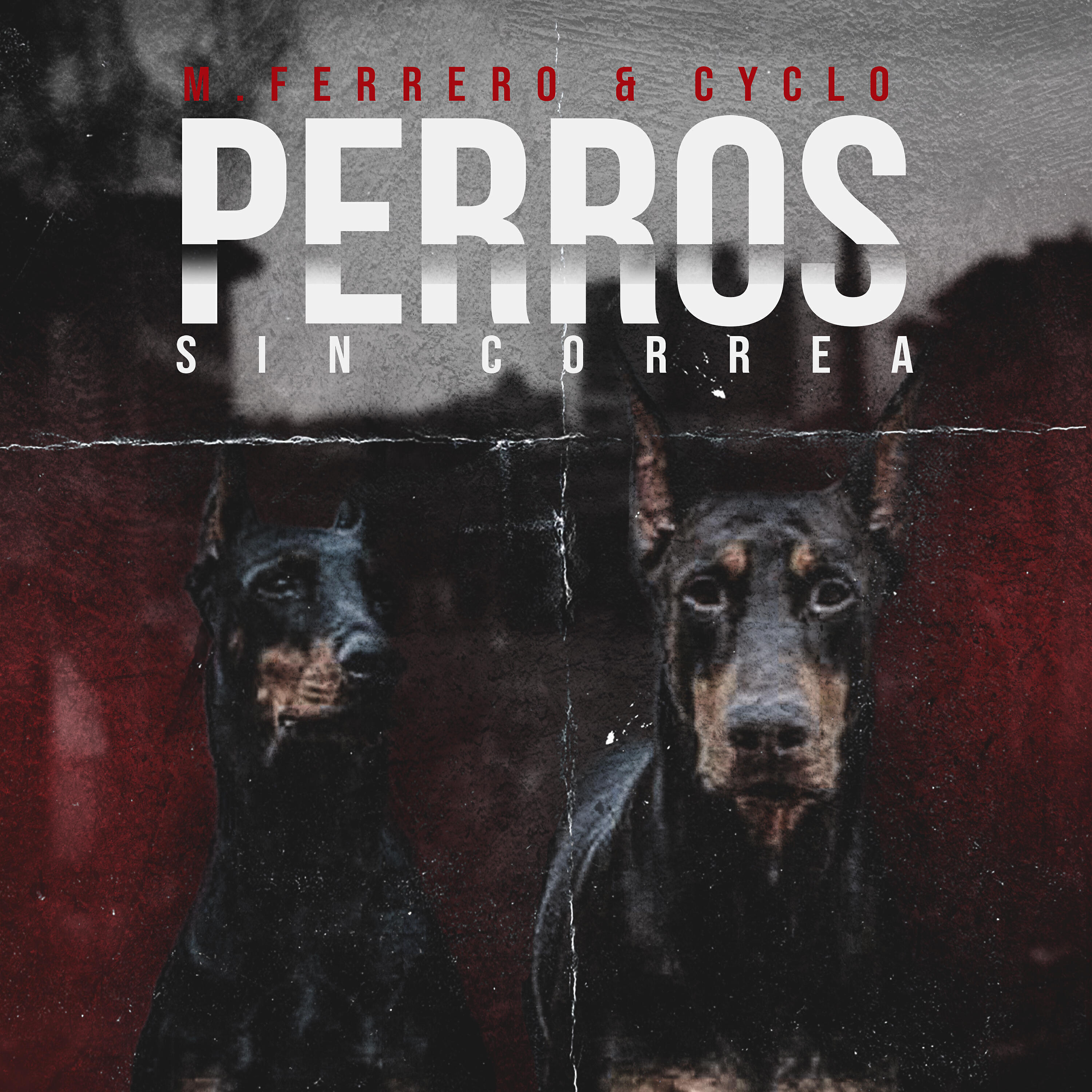 Скачать песню M.Ferrero, Cyclo - Perros Sin Correa бесплатно в MP3 для Android и iOS