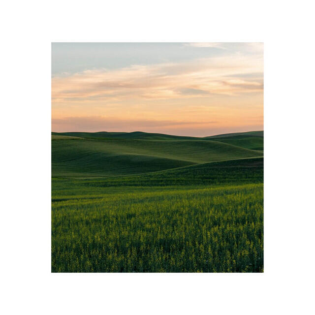 Релиз Green Fields