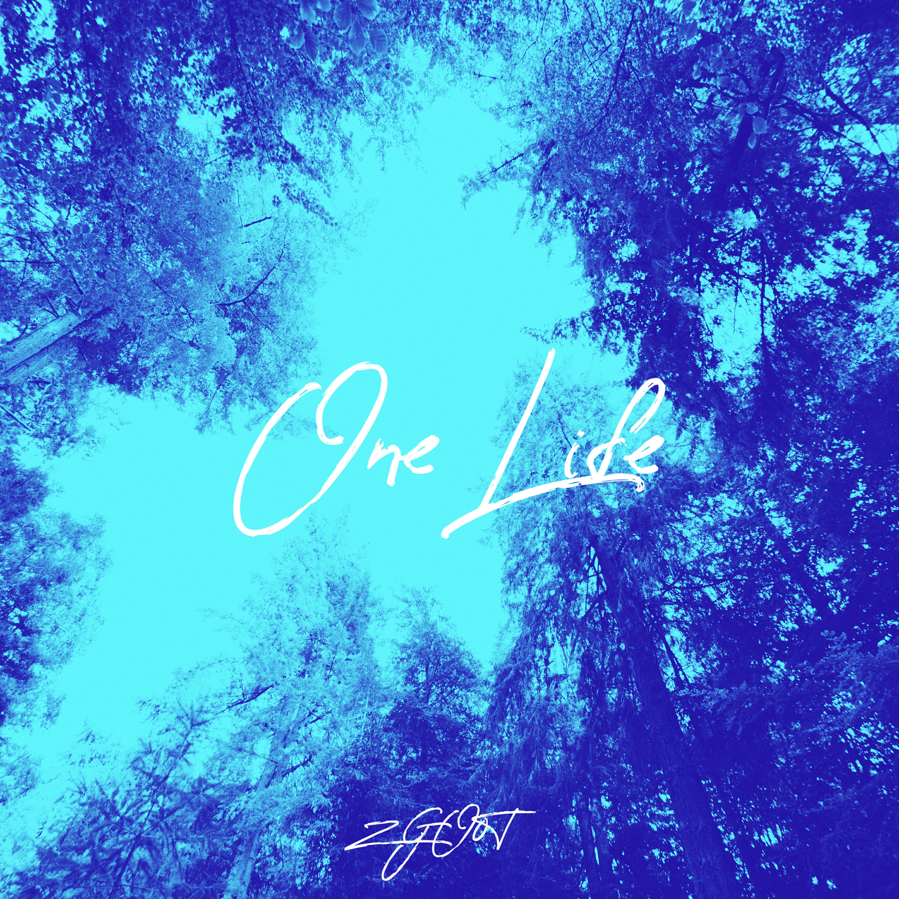 Релиз One Life