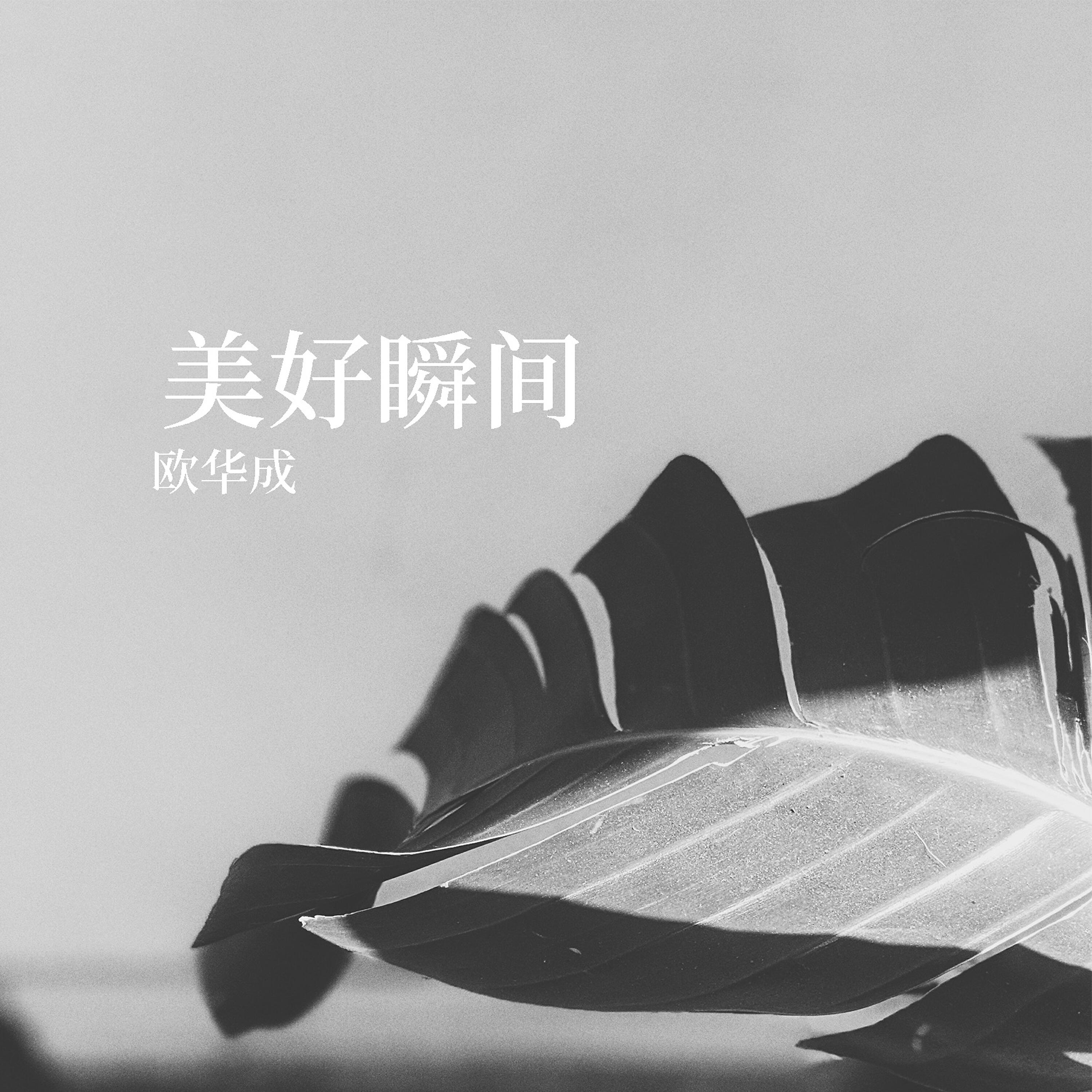 Релиз 美好瞬間