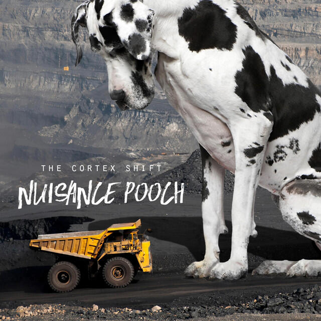 Релиз Nuisance Pooch