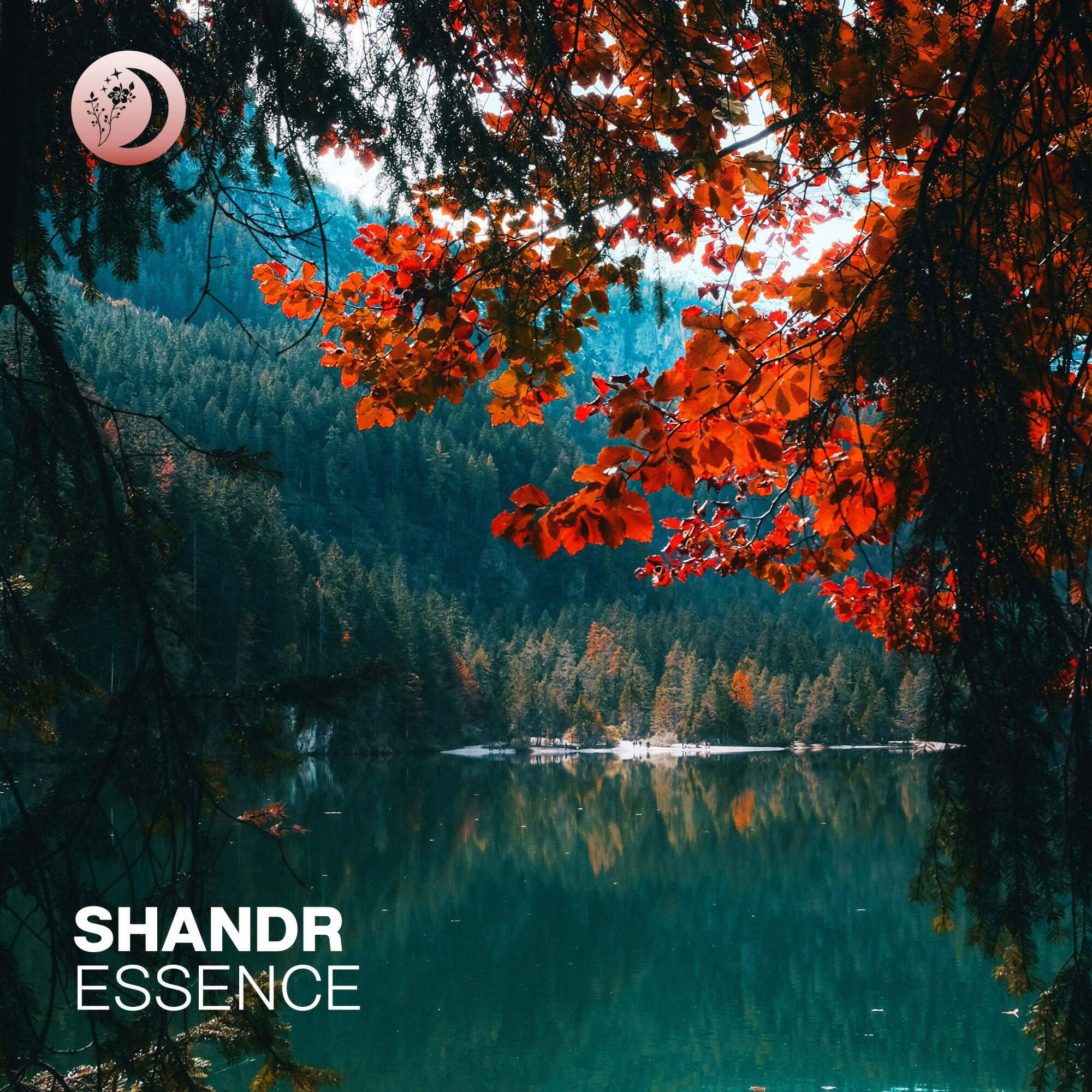 Релиз Essence