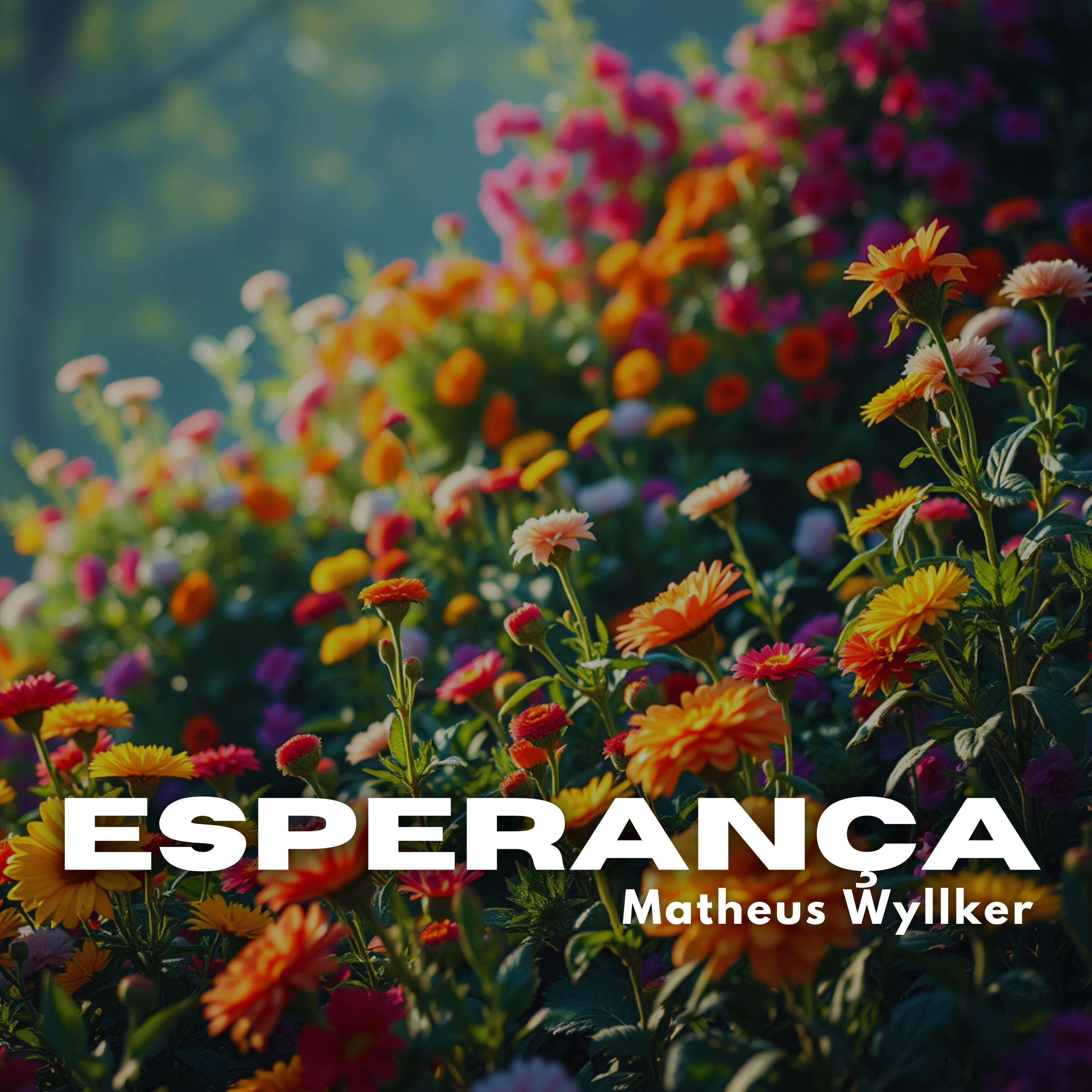 Релиз Esperança