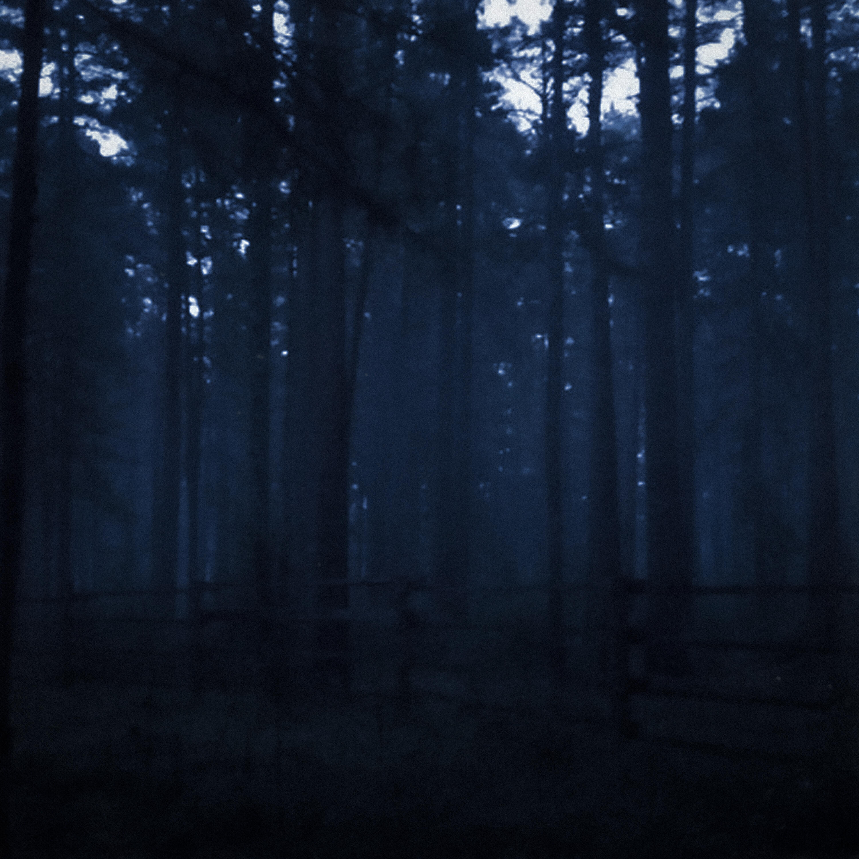 Релиз reluctance and woodland