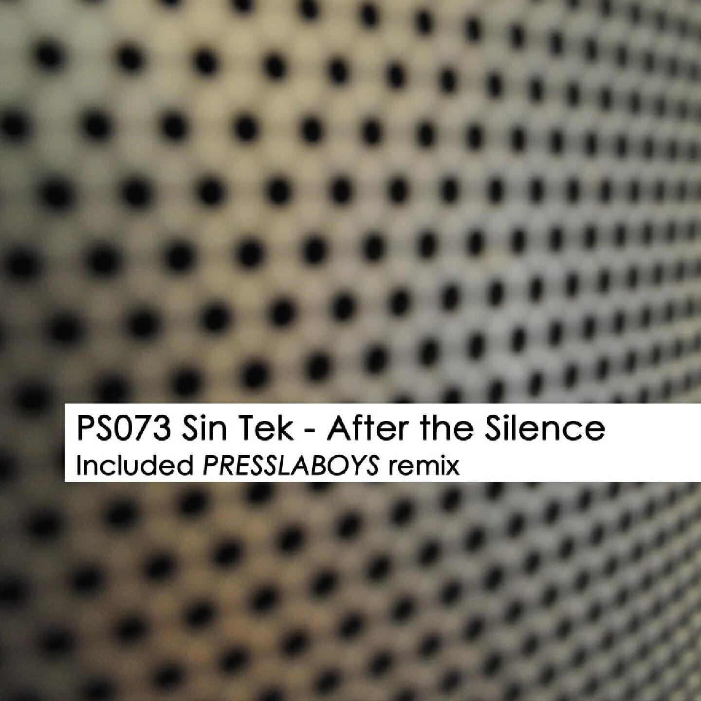 Релиз After the Silence