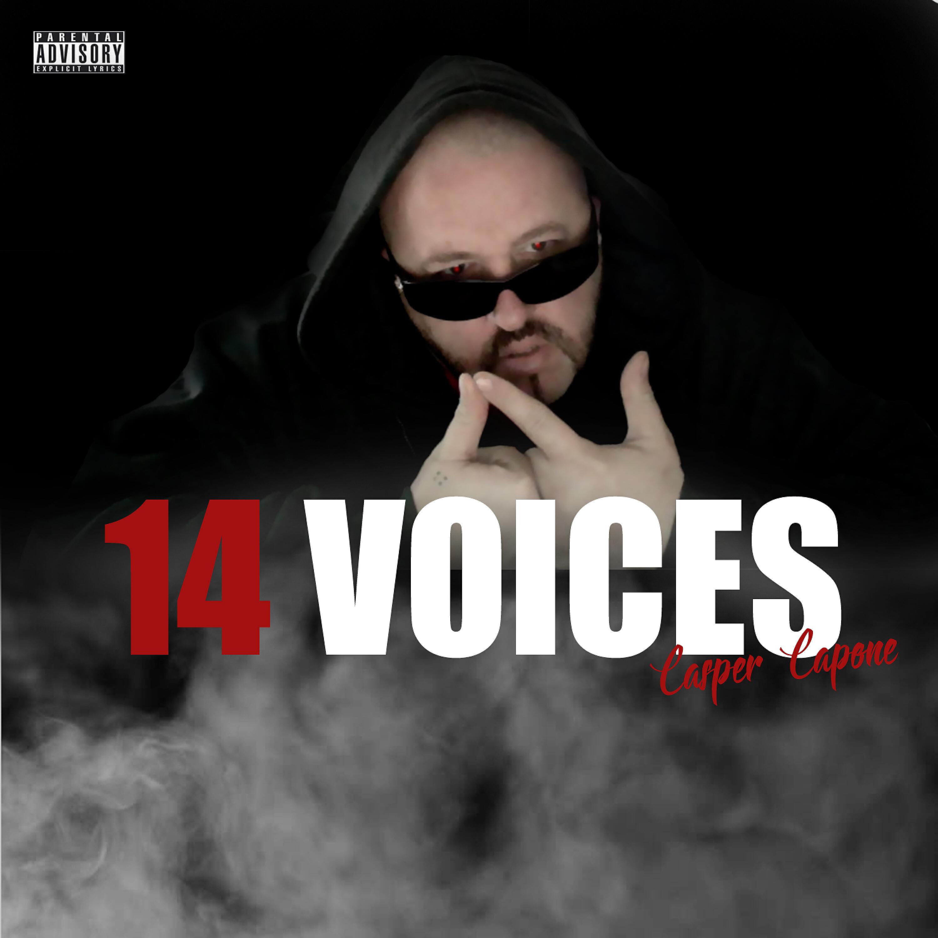 Релиз 14 Voices
