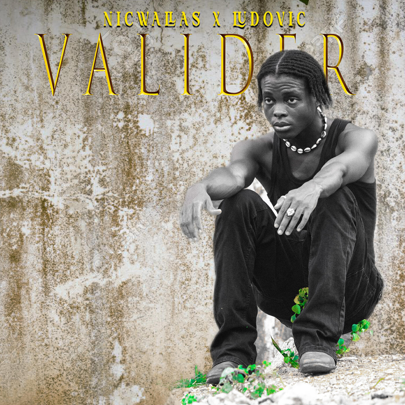 Релиз Valider