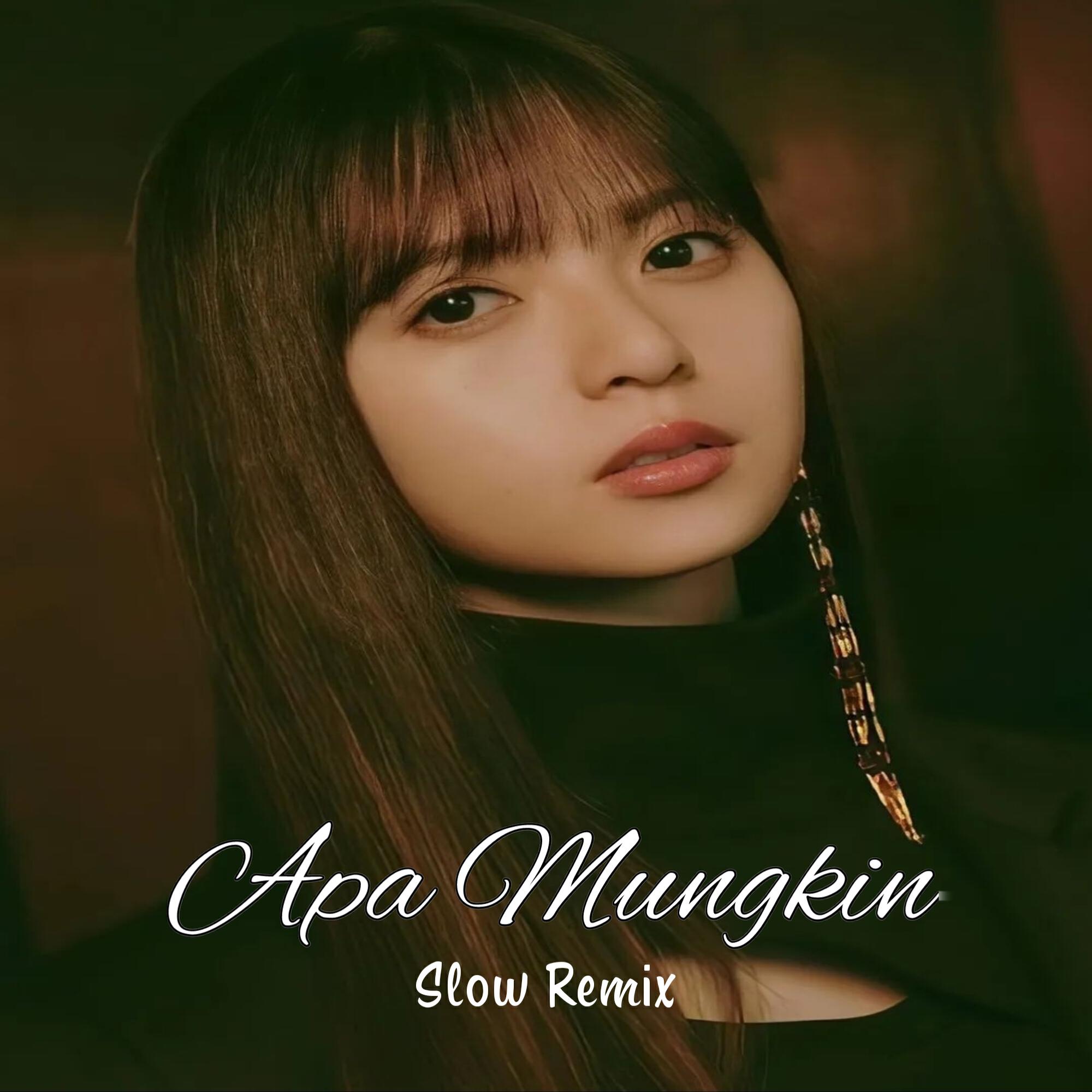 Постер альбома Apa Mungkin
