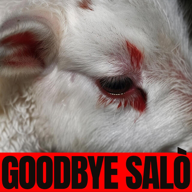 Постер альбома GOODBYE SALÒ