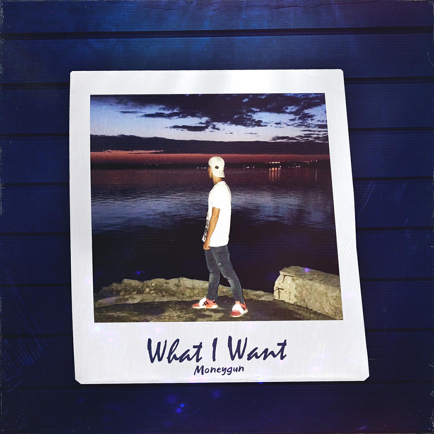 Постер альбома What I Want