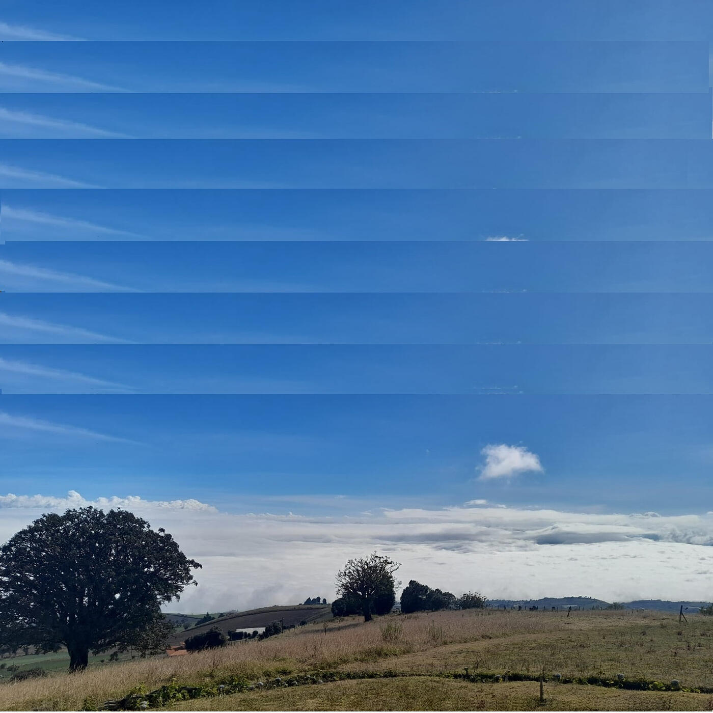 Релиз Raza Sin Tregua