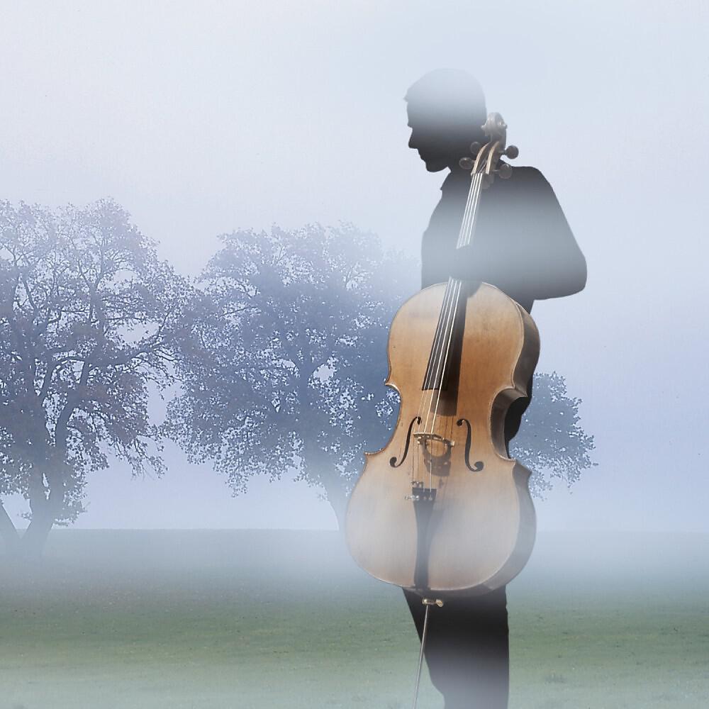Постер альбома Cellospheres and Bass Moods