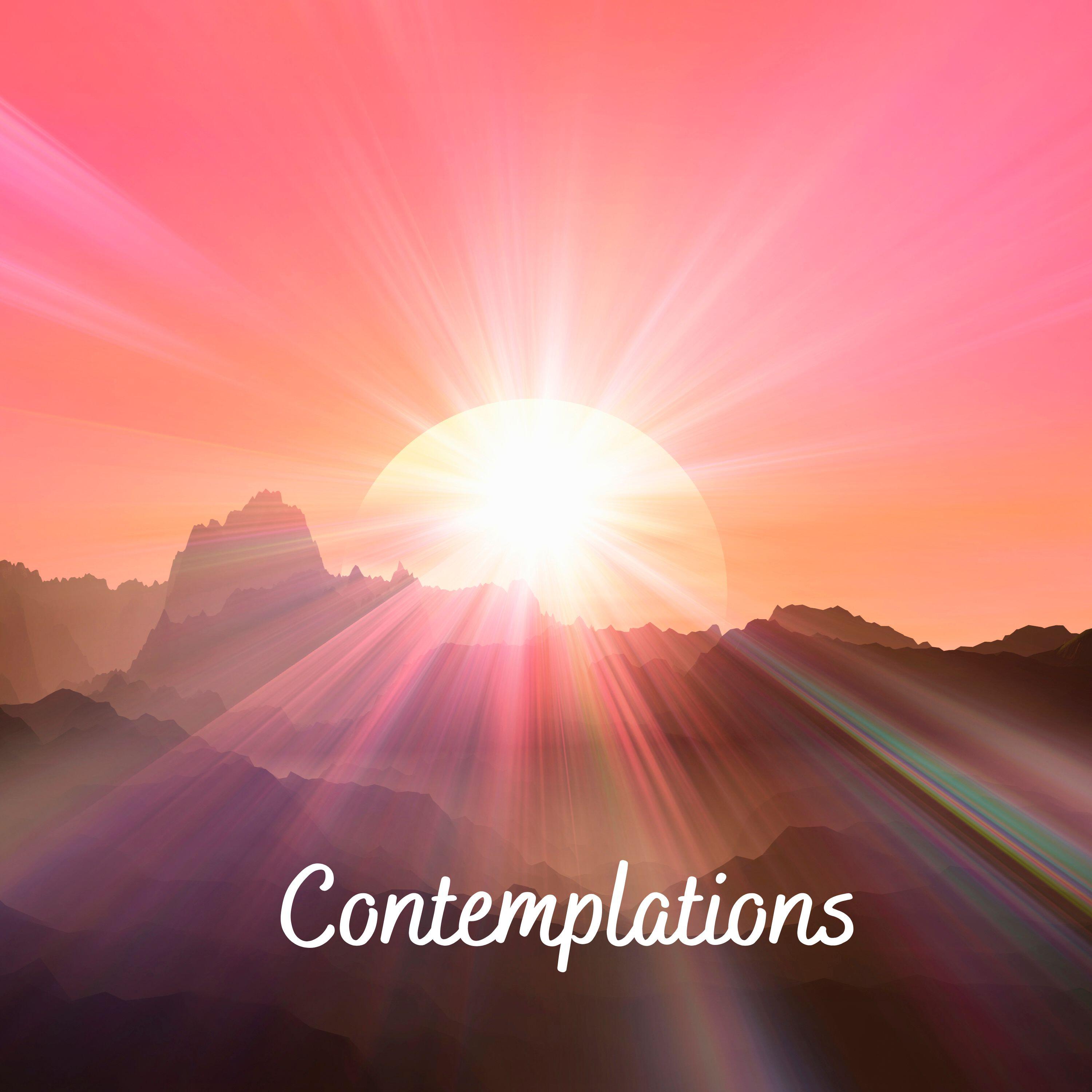 Релиз Contemplations