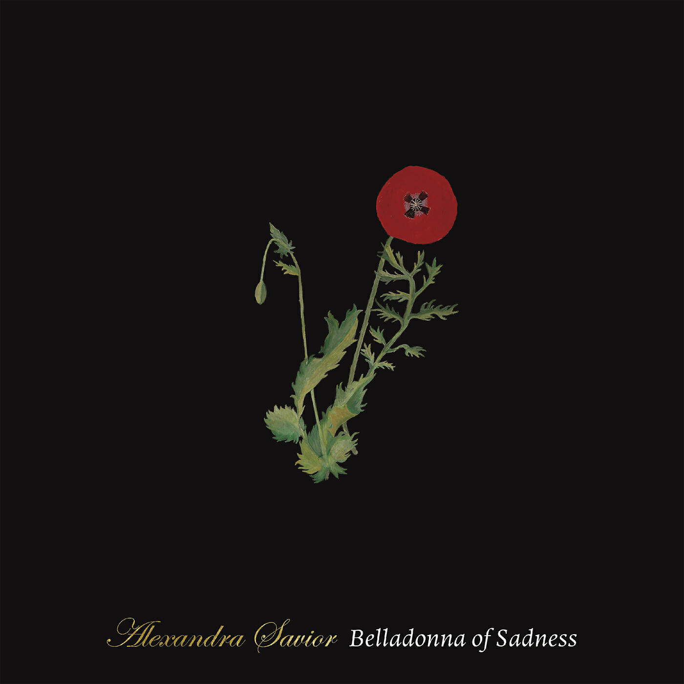 Релиз Belladonna of Sadness