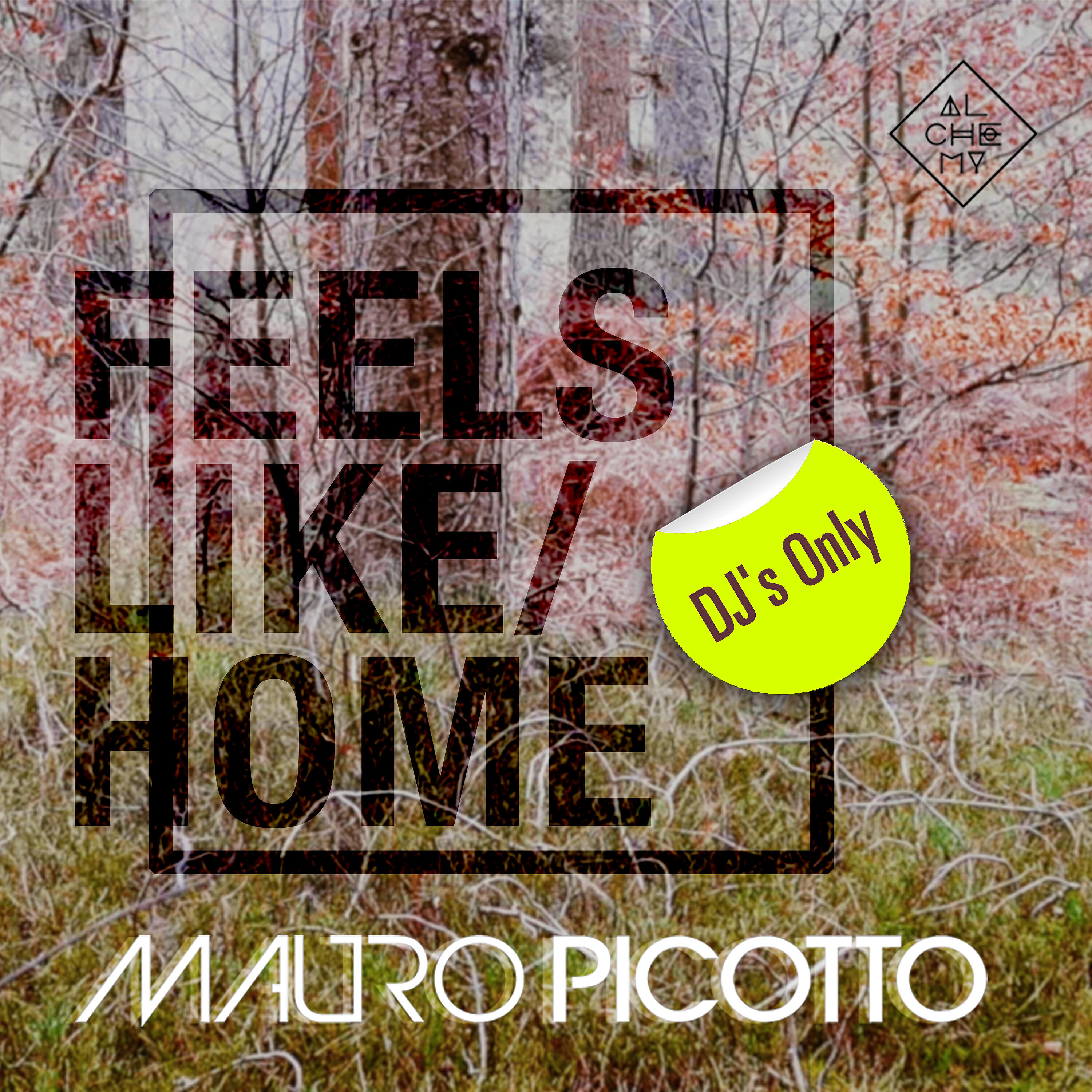 Релиз Feels Like Home