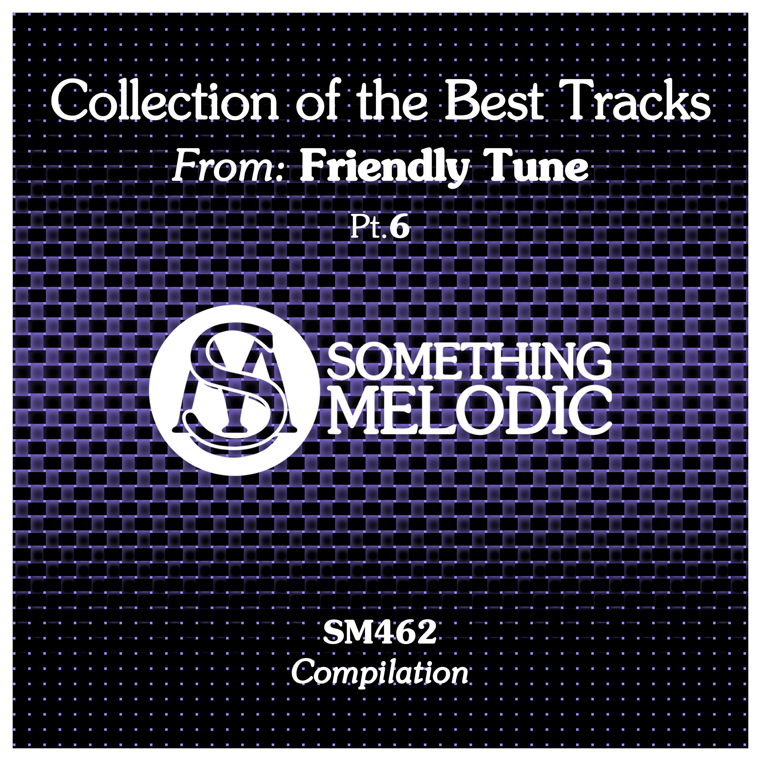 Релиз Collection of the Best Tracks From: Friendly Tune, Pt. 6
