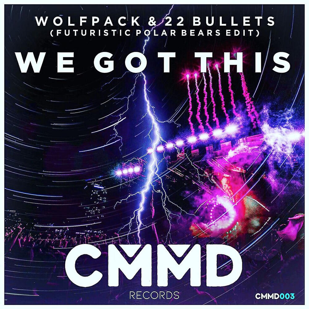 22 Bullets