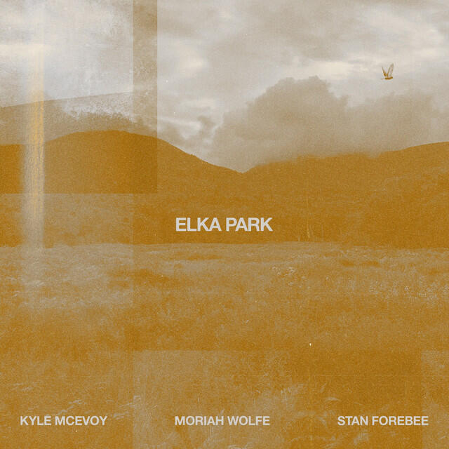 Релиз Elka Park