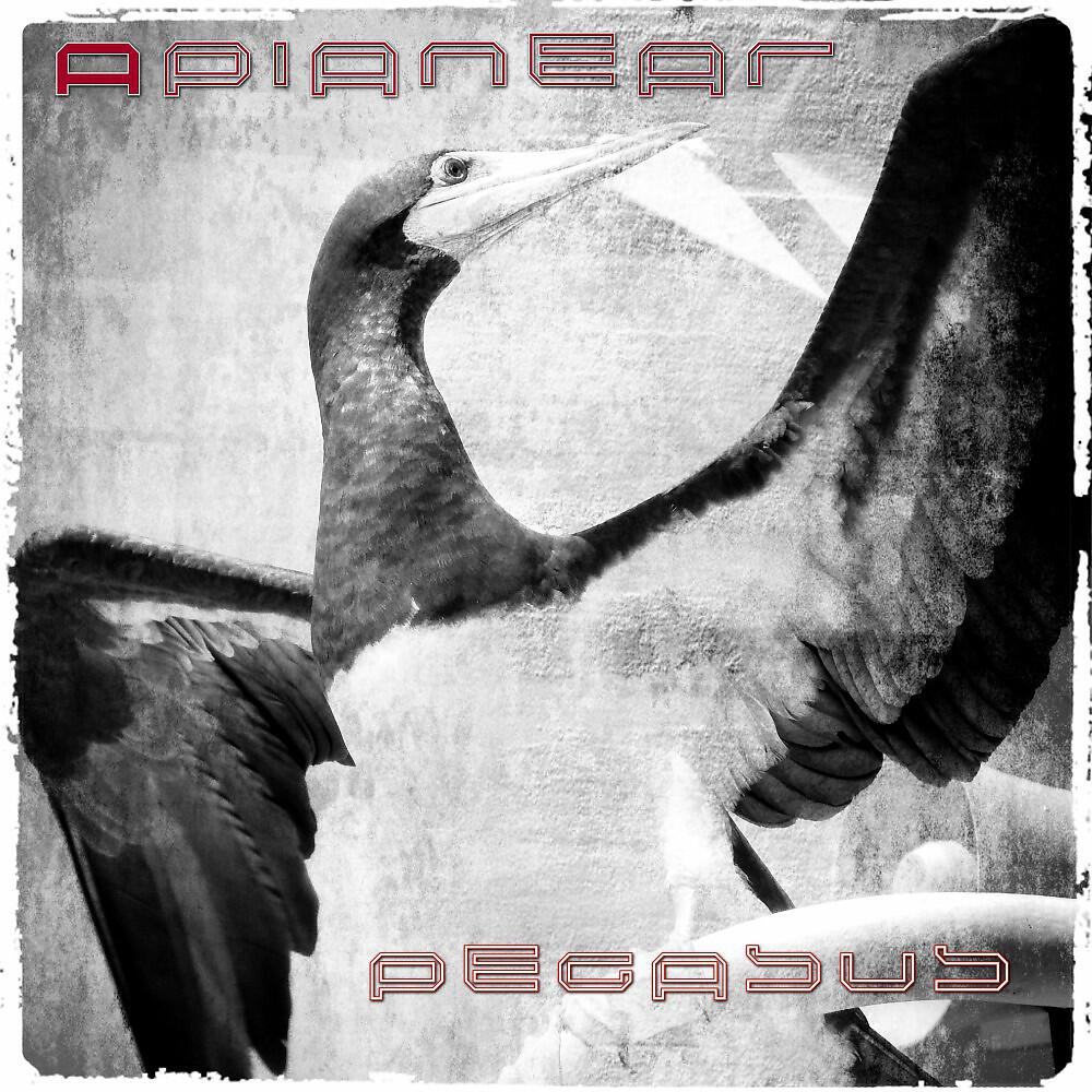 Релиз Pegasus