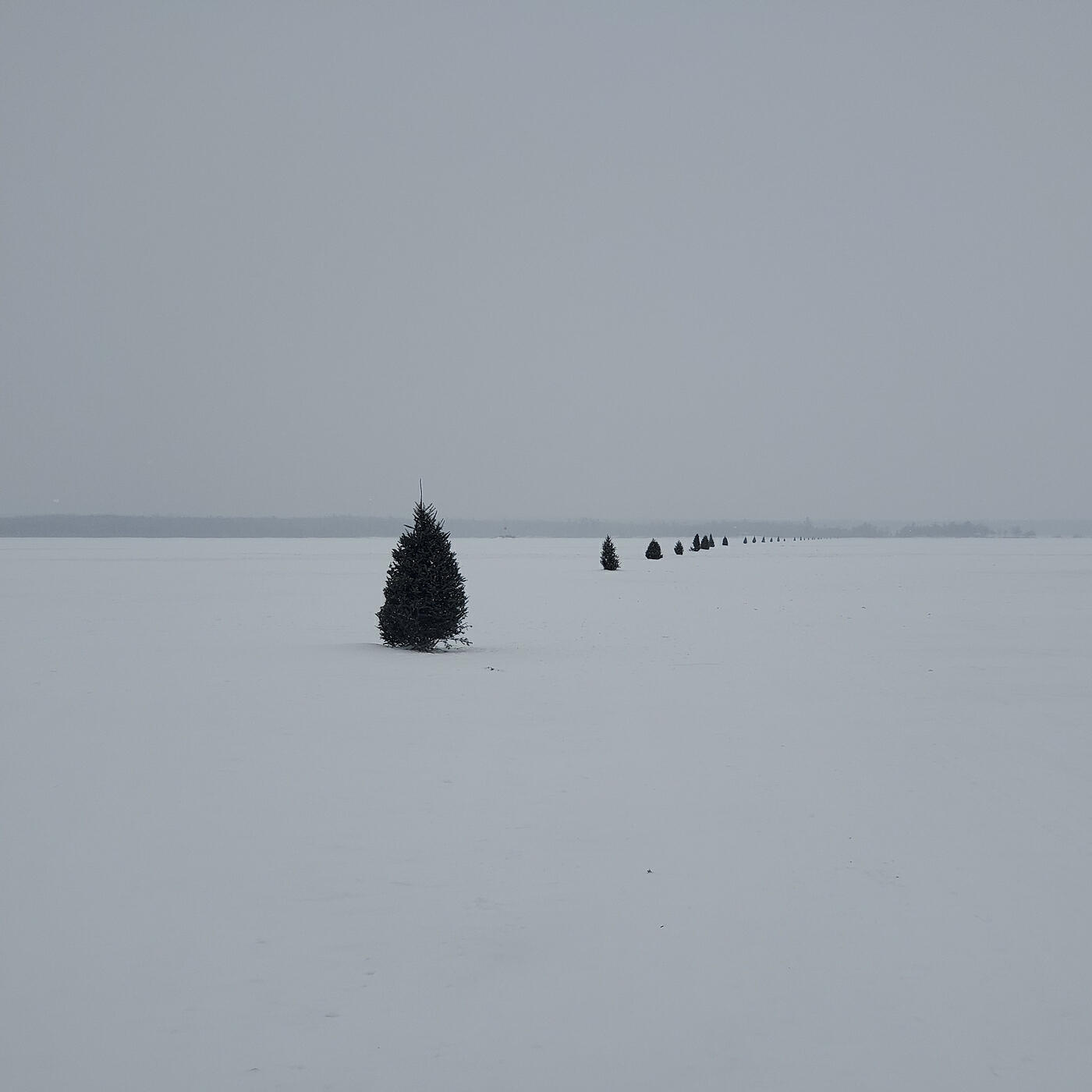 Релиз Runway