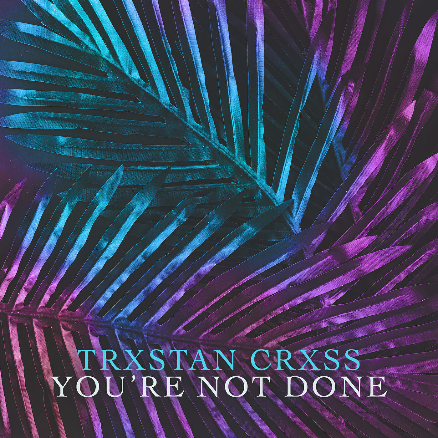 Релиз You're Not Done