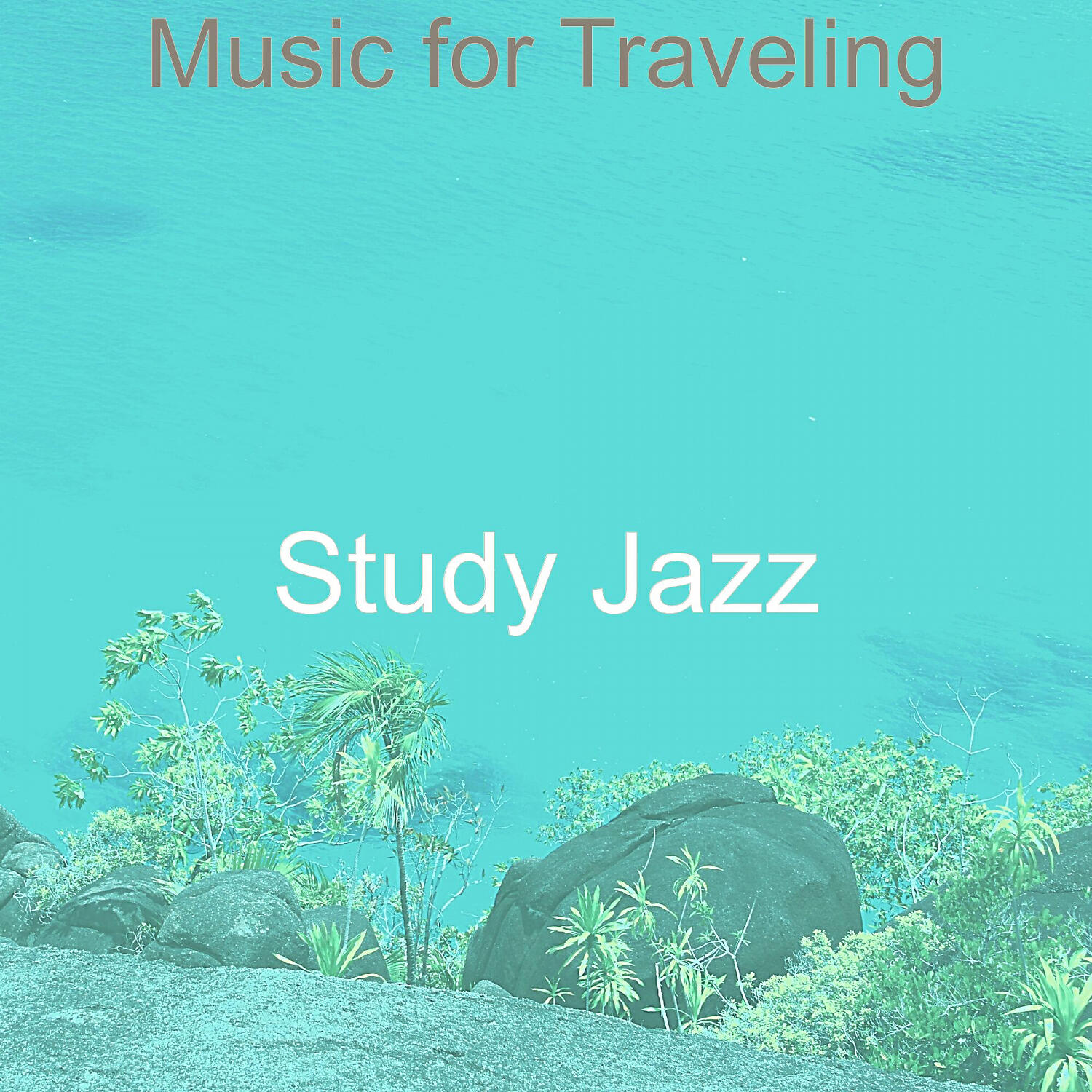 Постер альбома Music for Traveling
