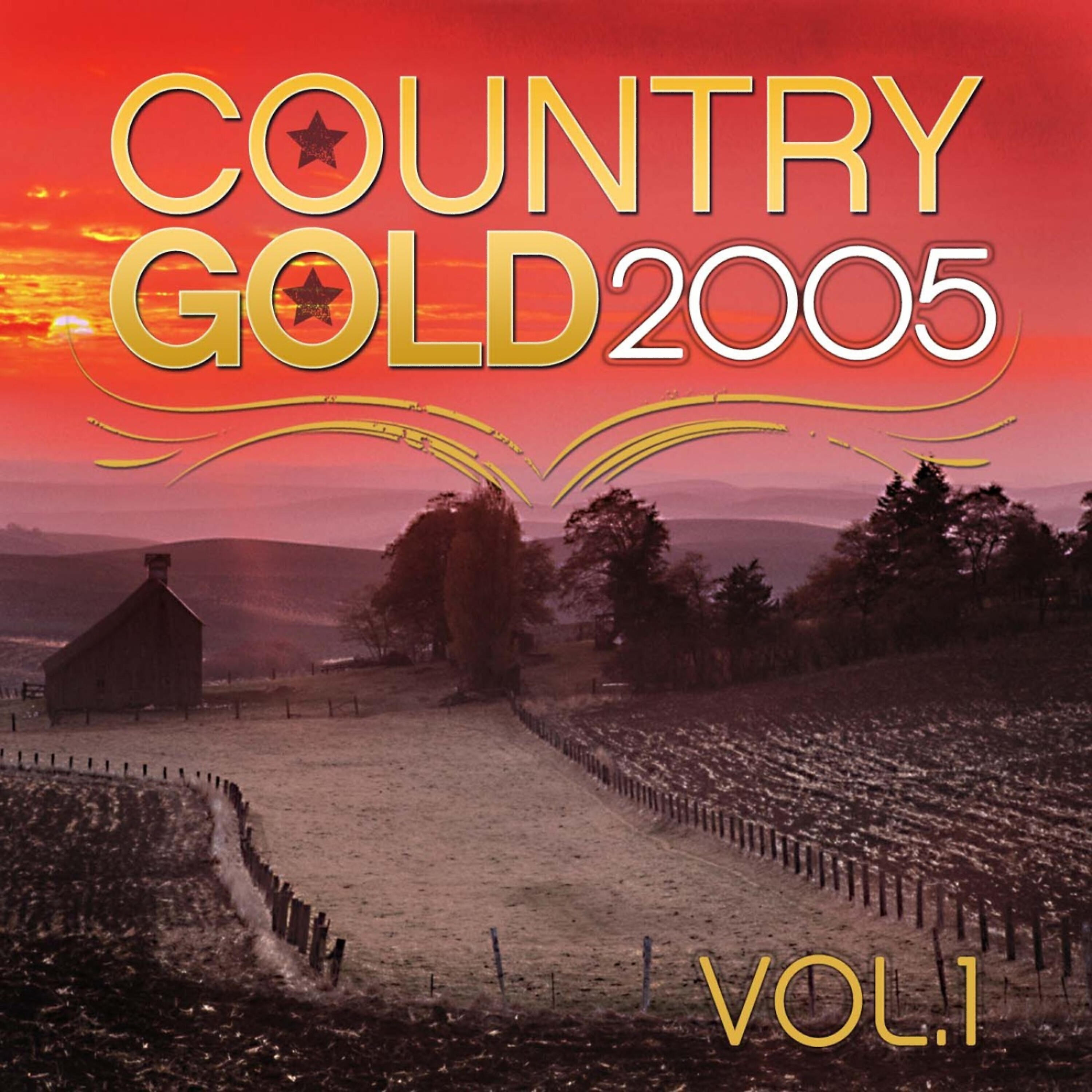 Релиз Country Gold 2005 Vol.1