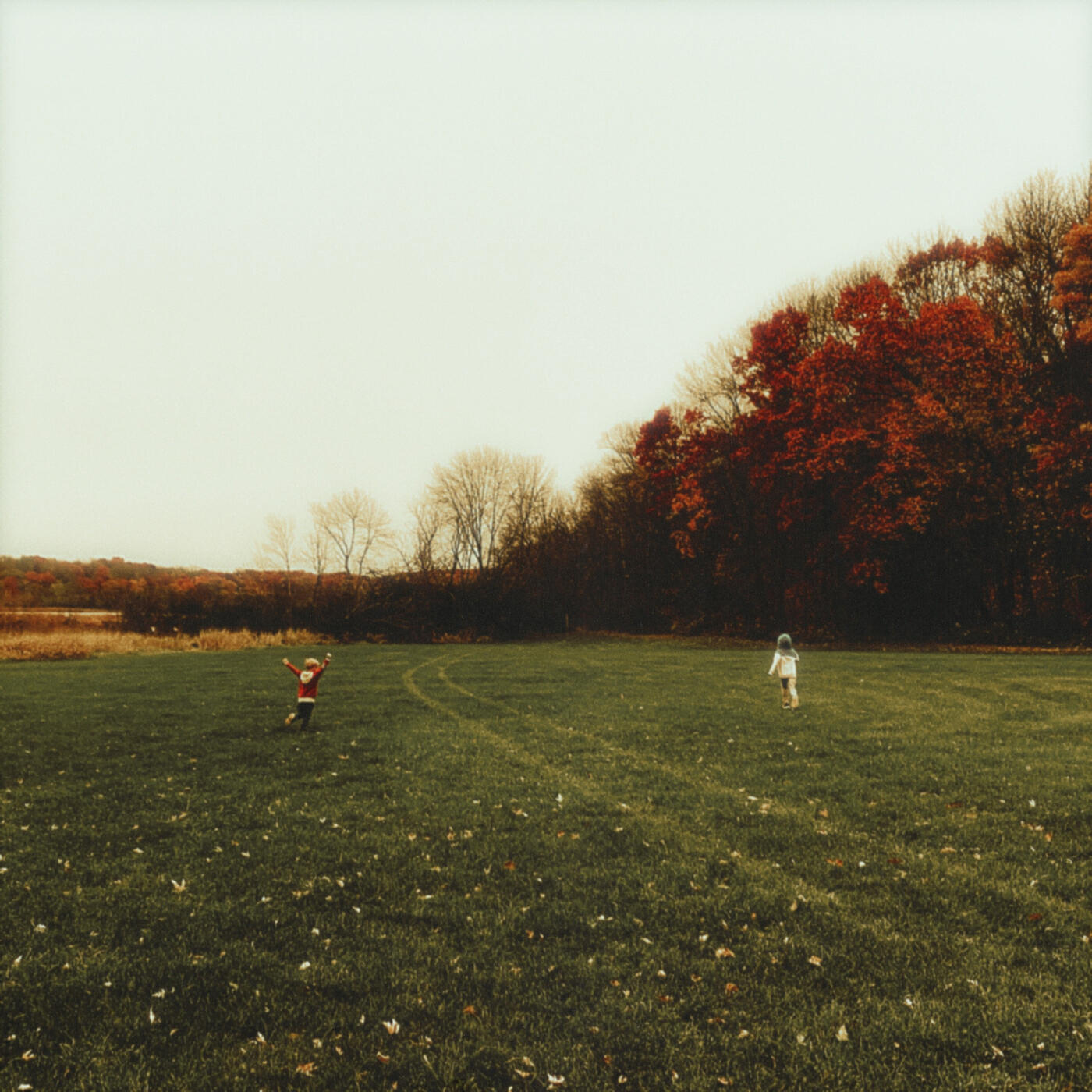 Релиз Silver Oaks