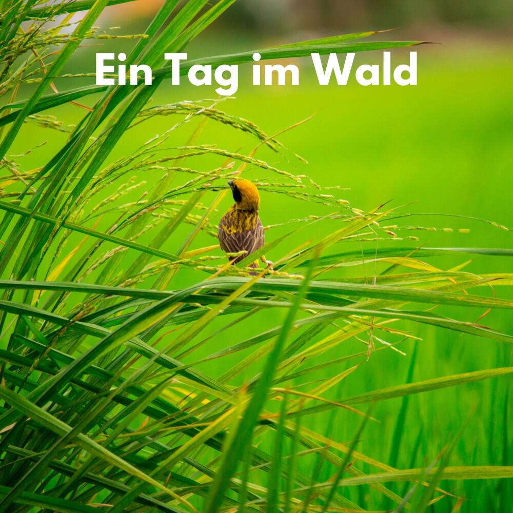 Релиз Ein Tag im Wald