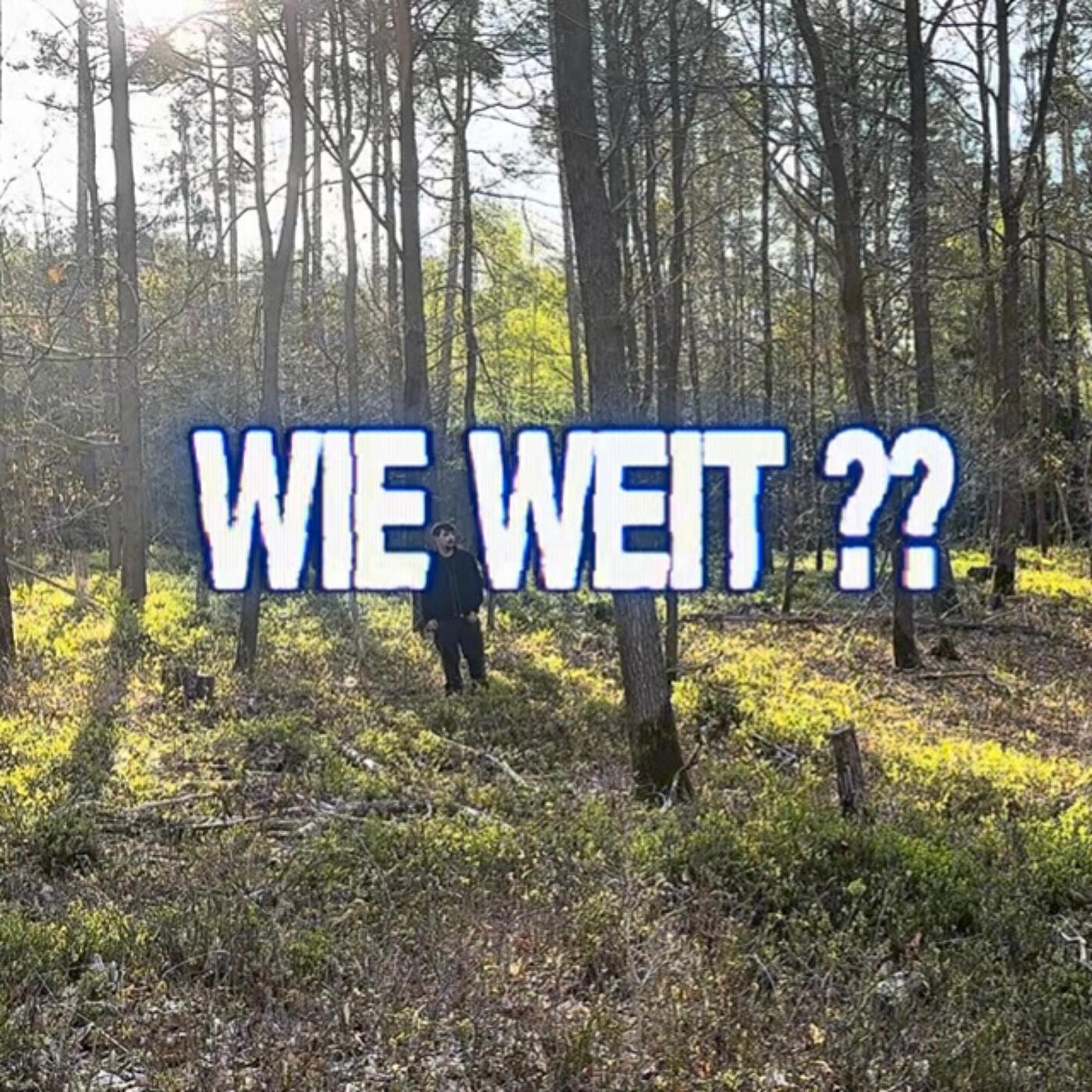 Релиз Wie Weit ??