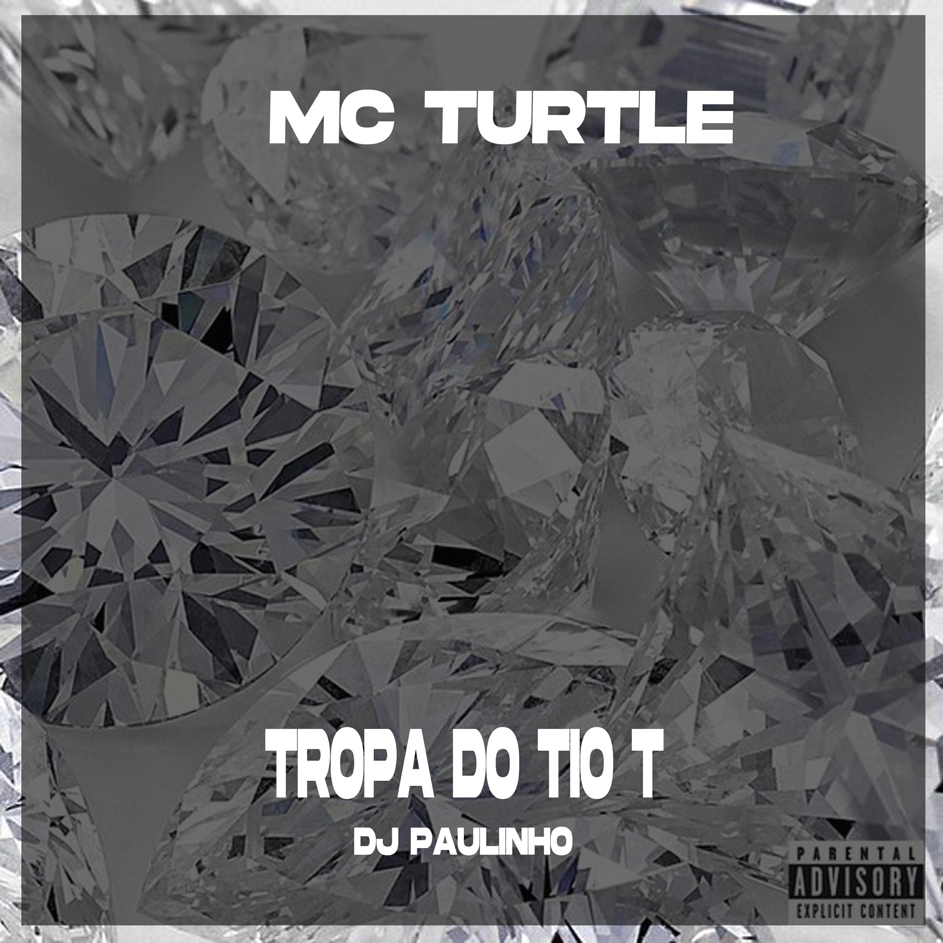 Скачать песню MC Turtle, DJ Paulinho - Tropa do Tio T бесплатно в MP3 для Android и iOS