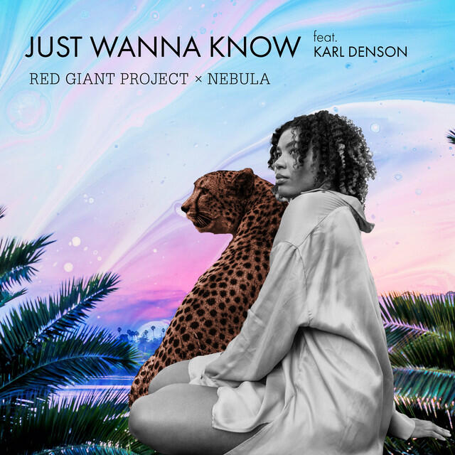 Релиз Just Wanna Know