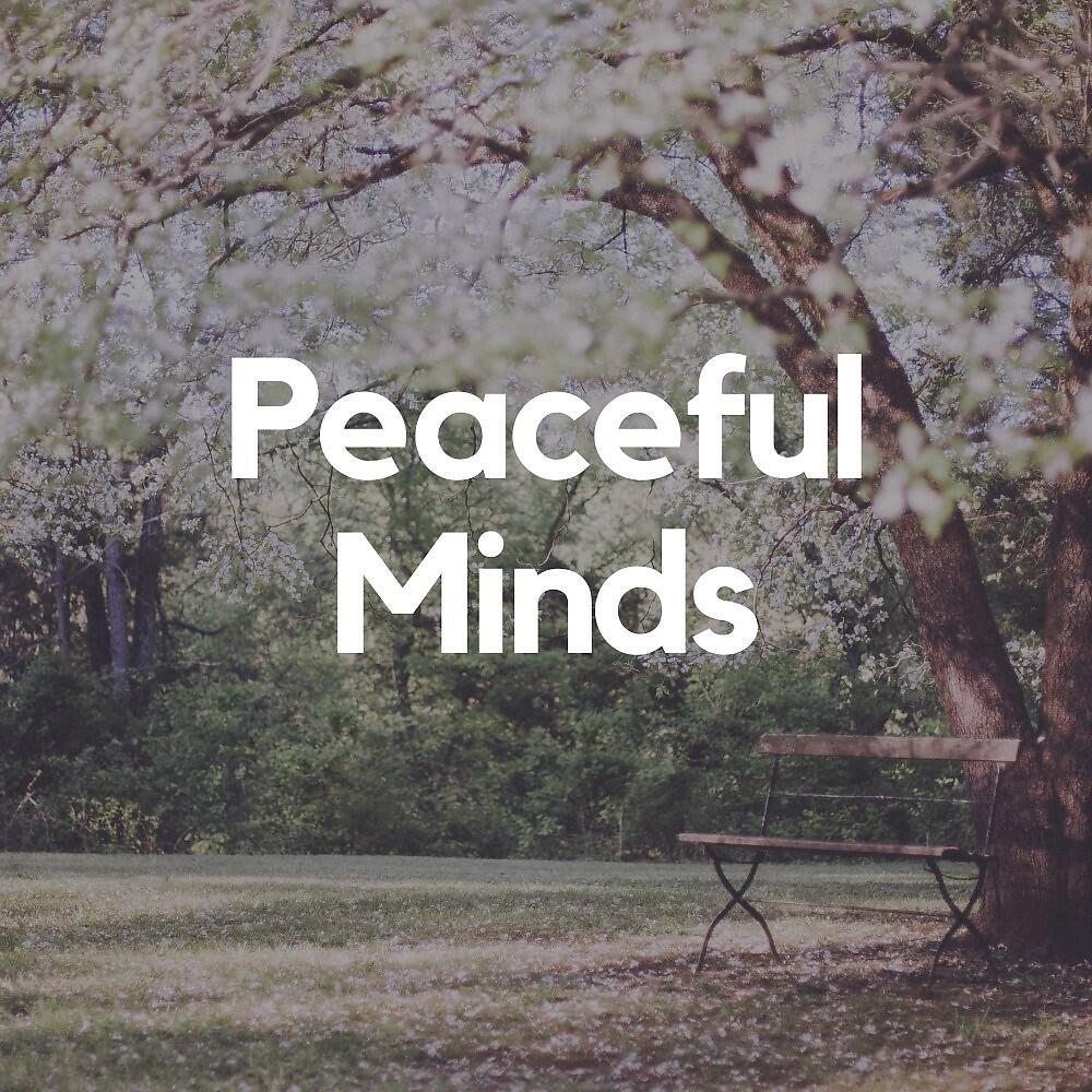 Релиз Peaceful Minds