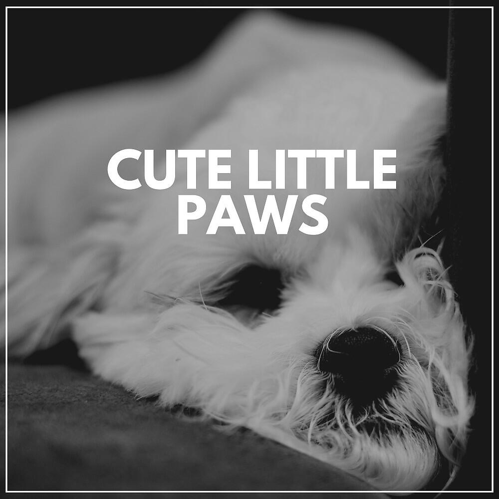 Релиз Cute Little Paws