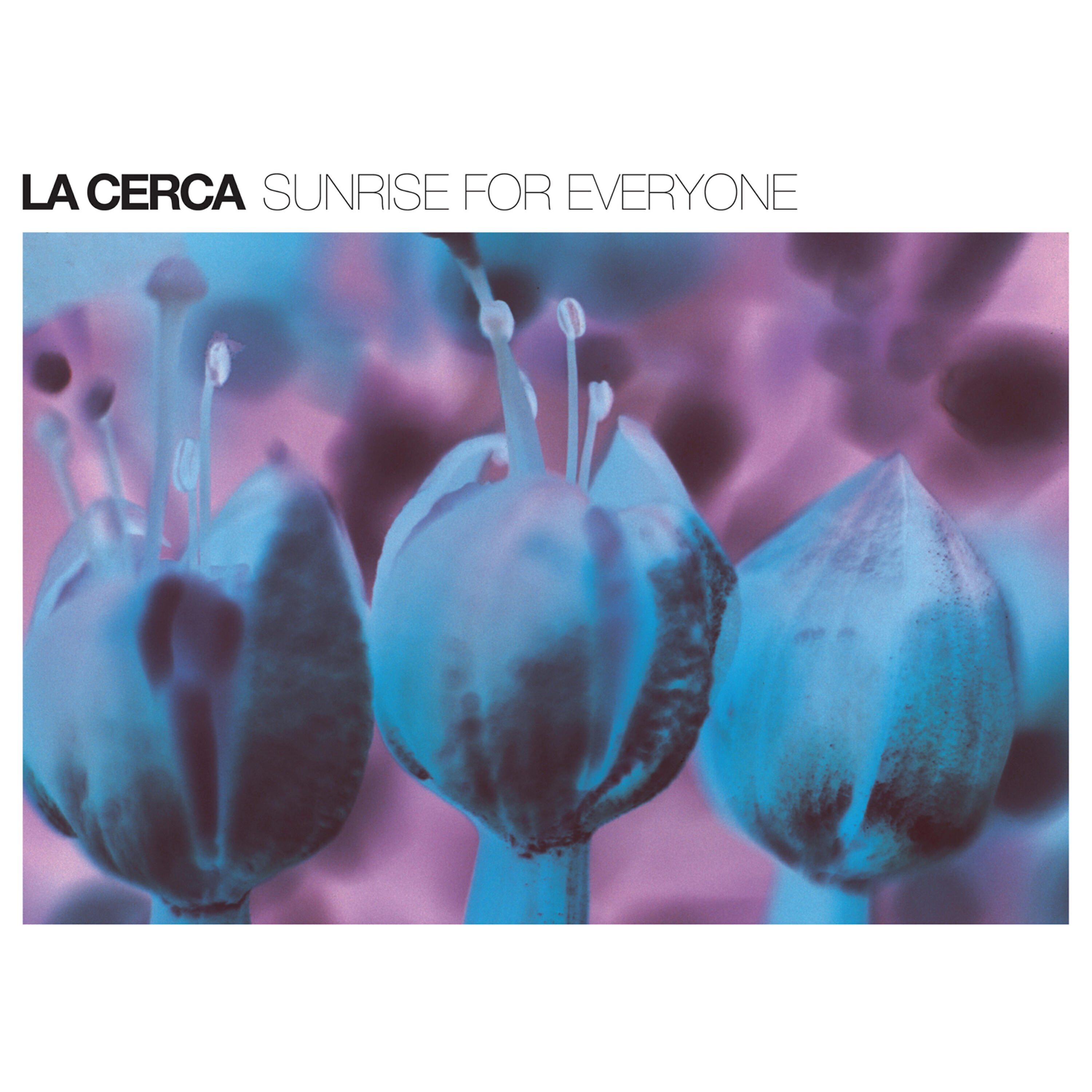 Релиз Sunrise for Everyone
