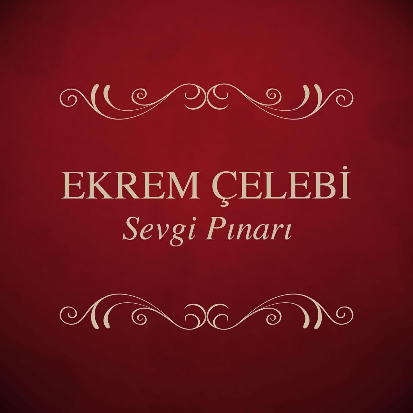 Релиз Sevgi Pınarı