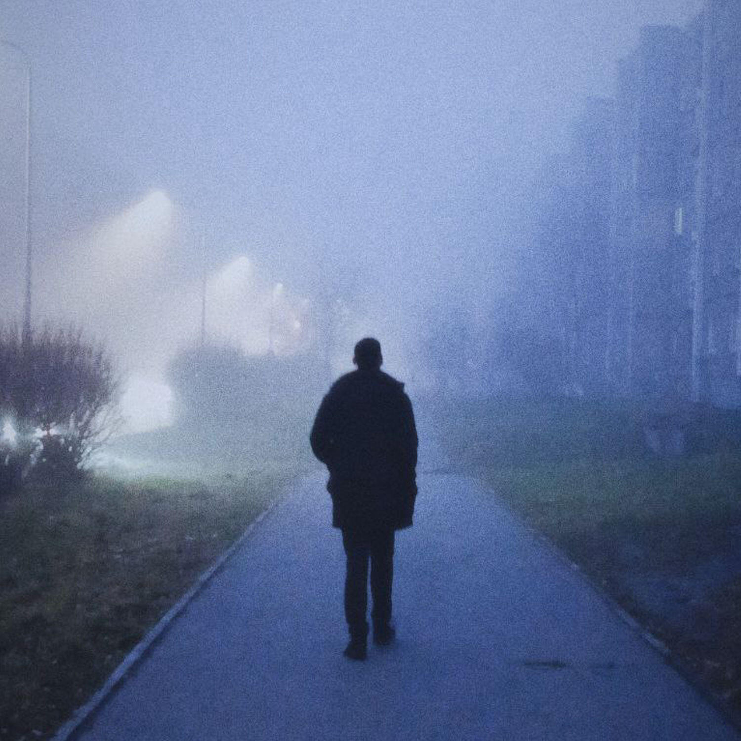 Релиз Синий василёк