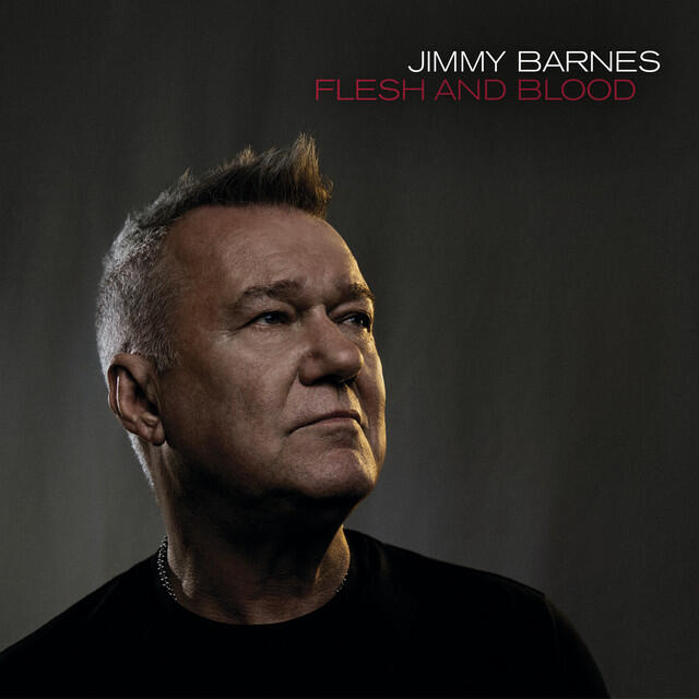 Релиз Flesh And Blood (Radio Edit)