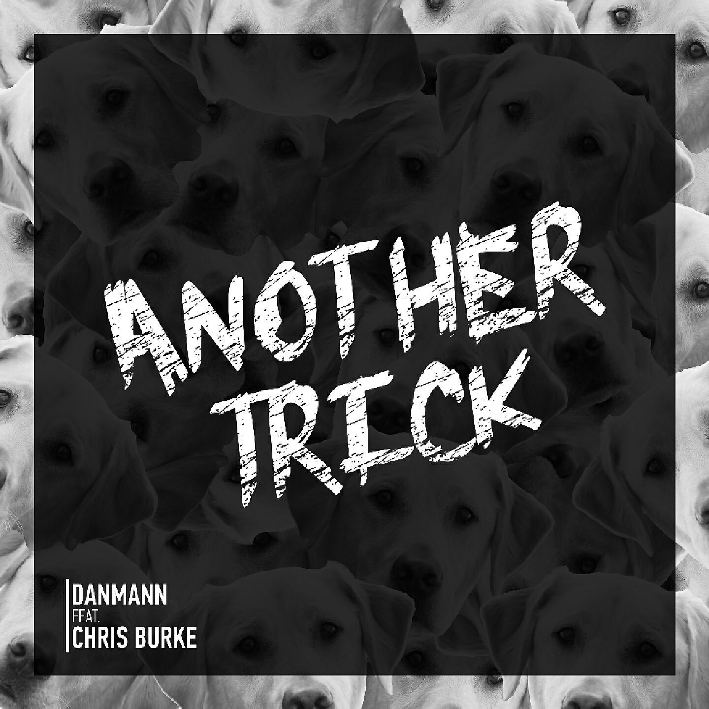 Релиз Another Trick