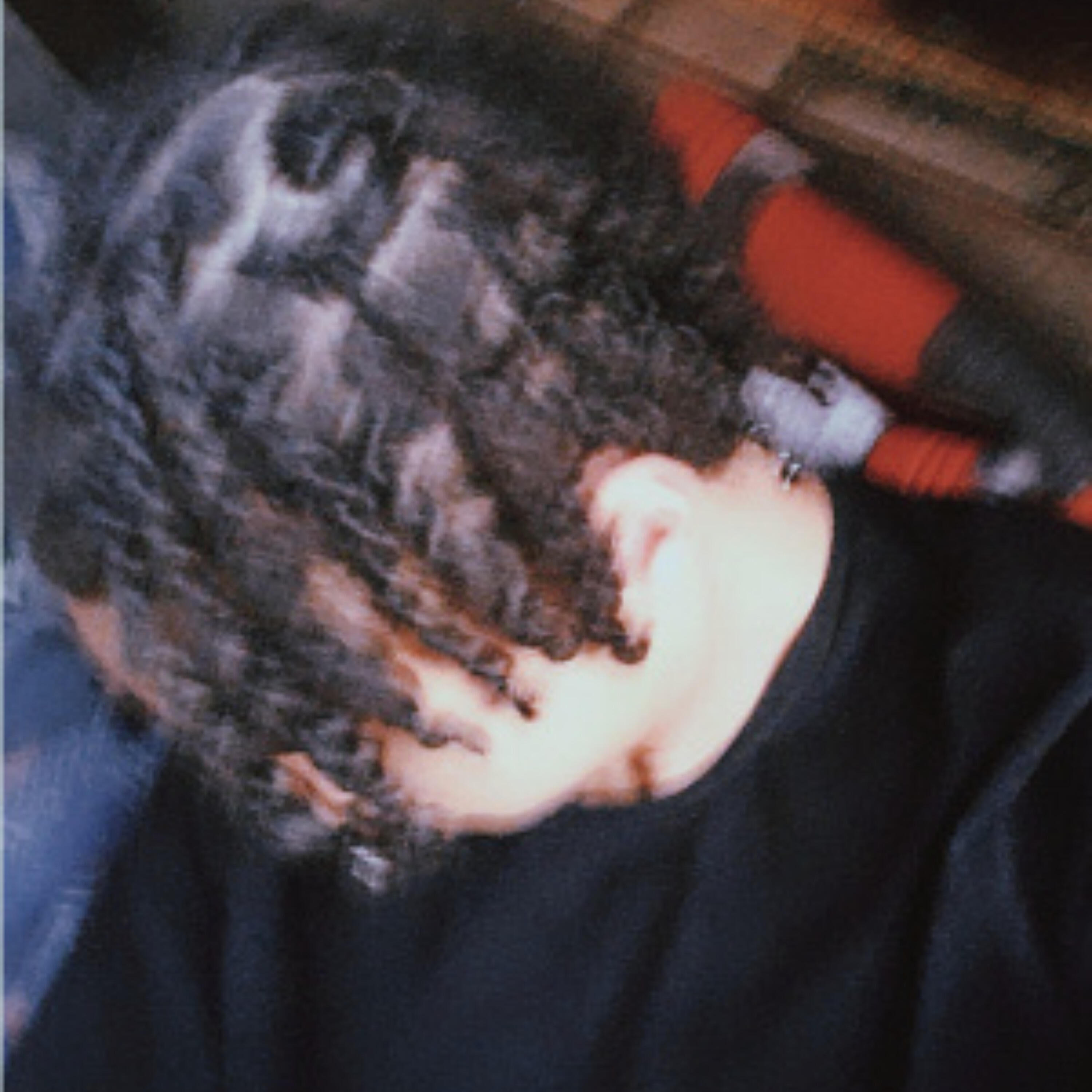 Yunky
