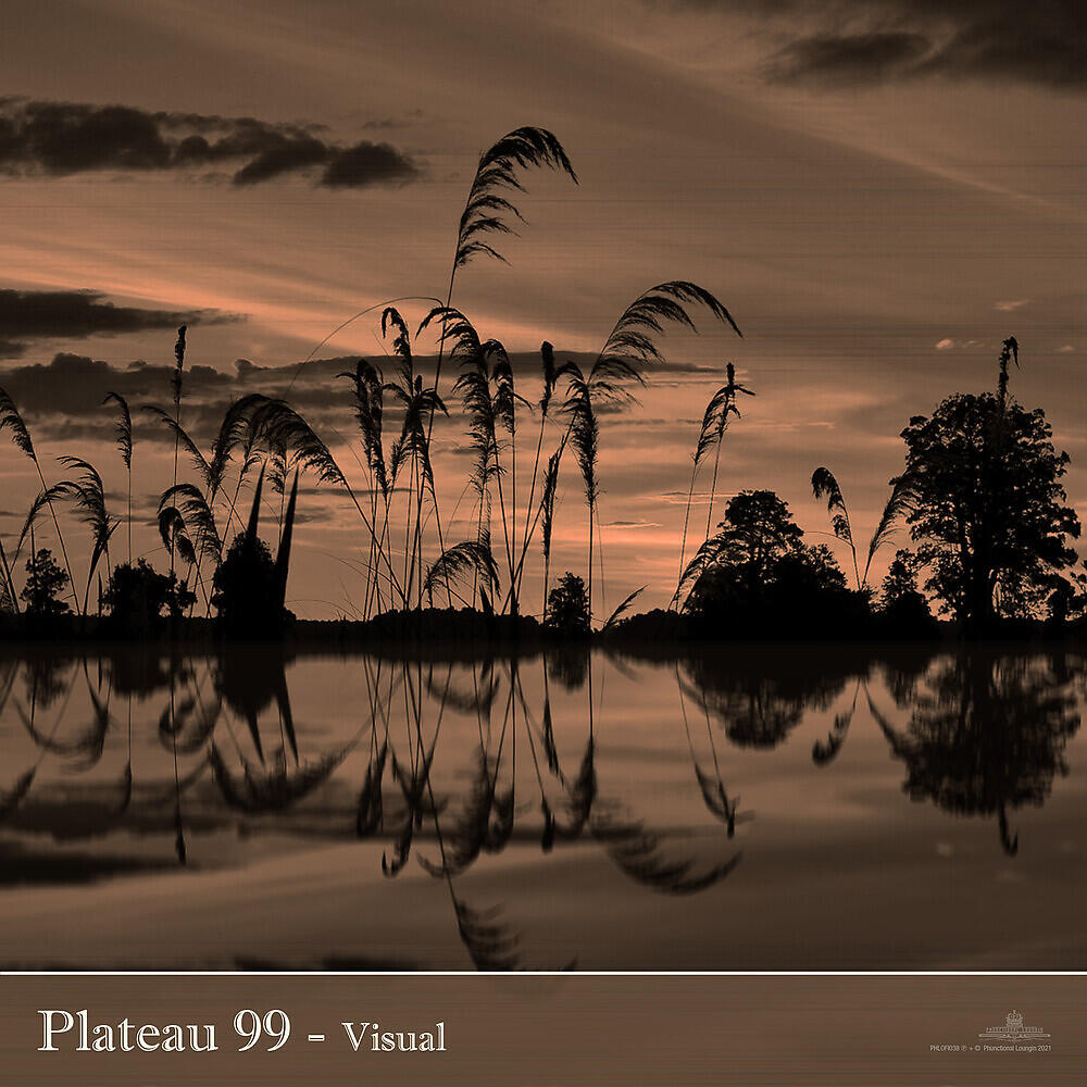 Релиз Visual