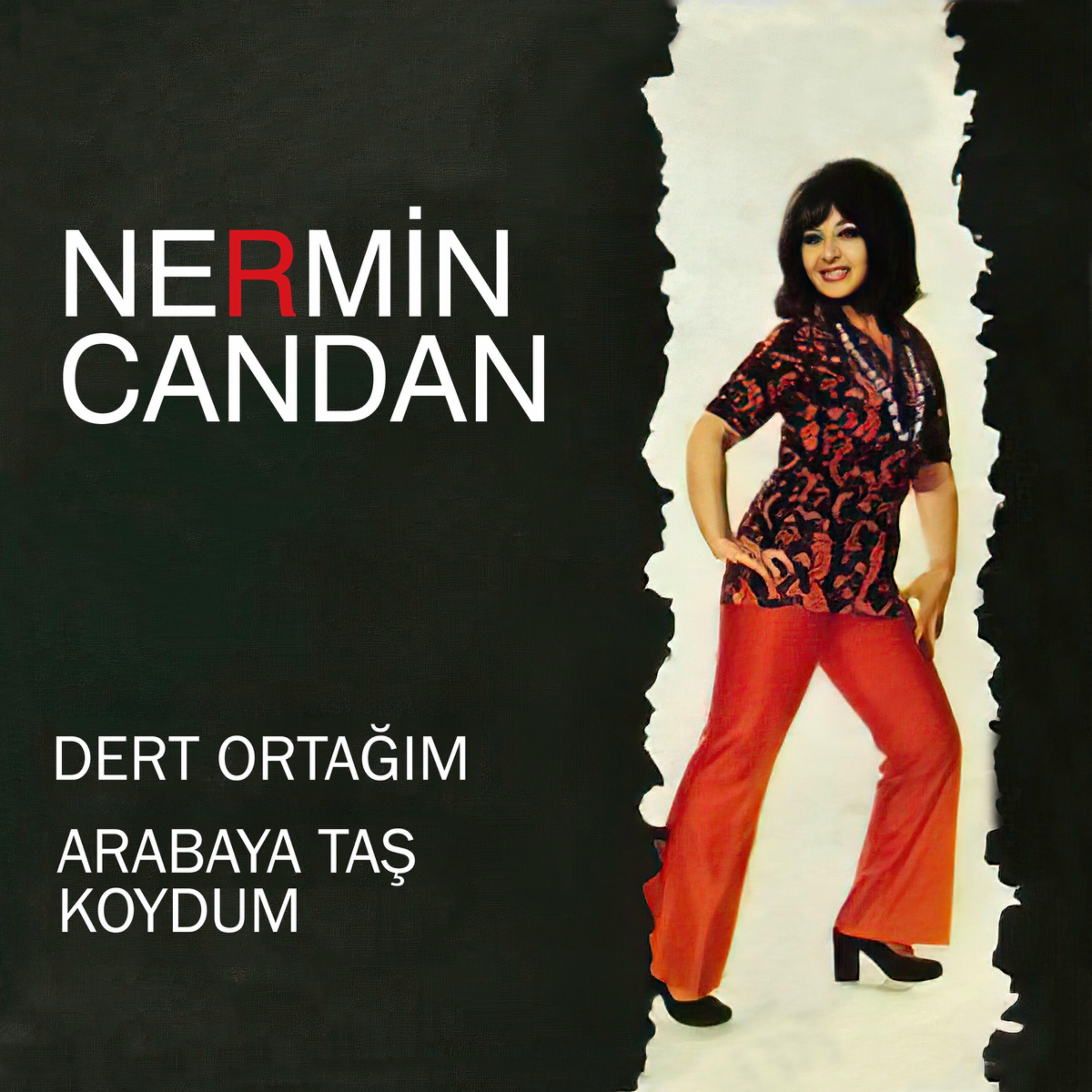 Релиз Dert Ortağım / Arabaya Taş Koydum
