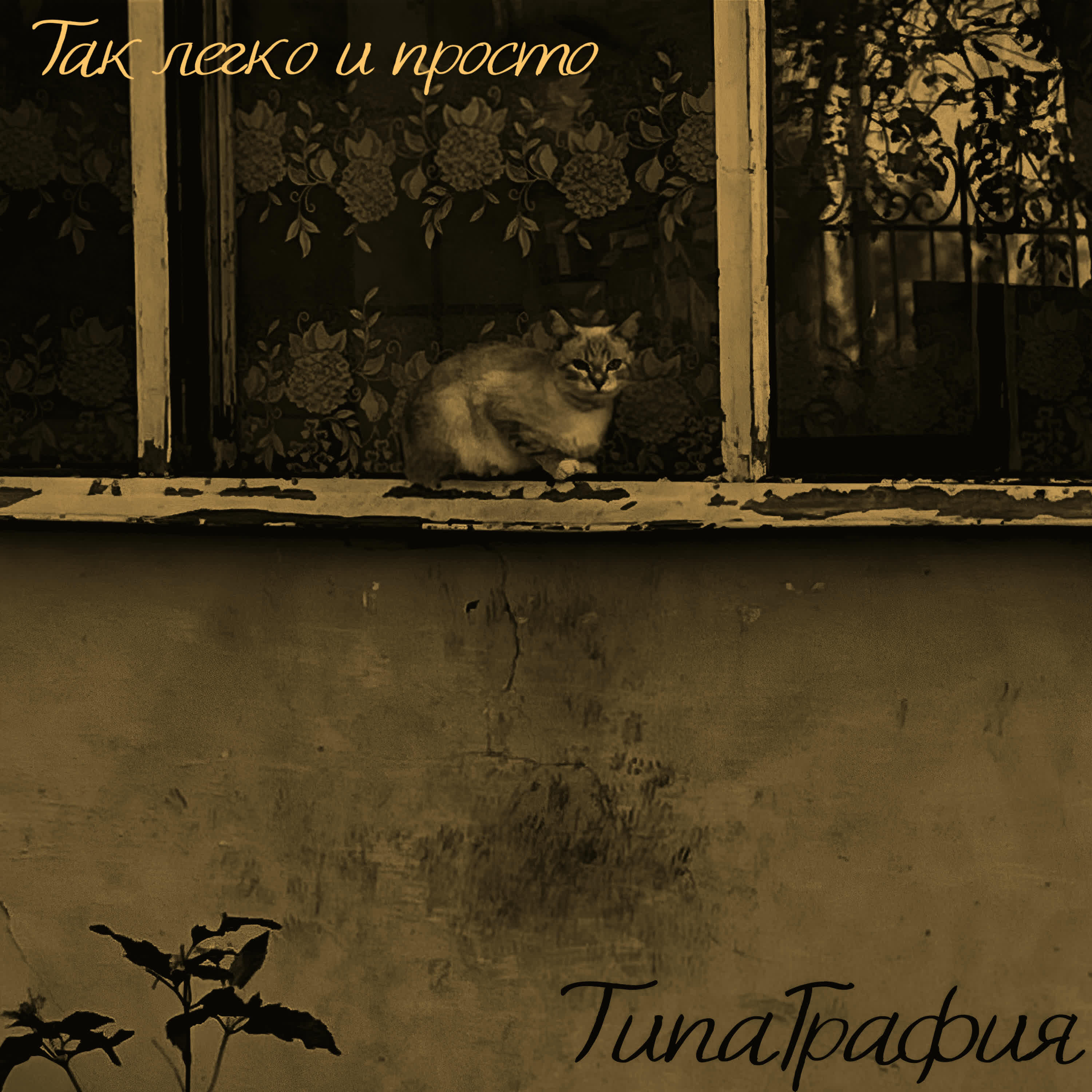 ТипаГрафия