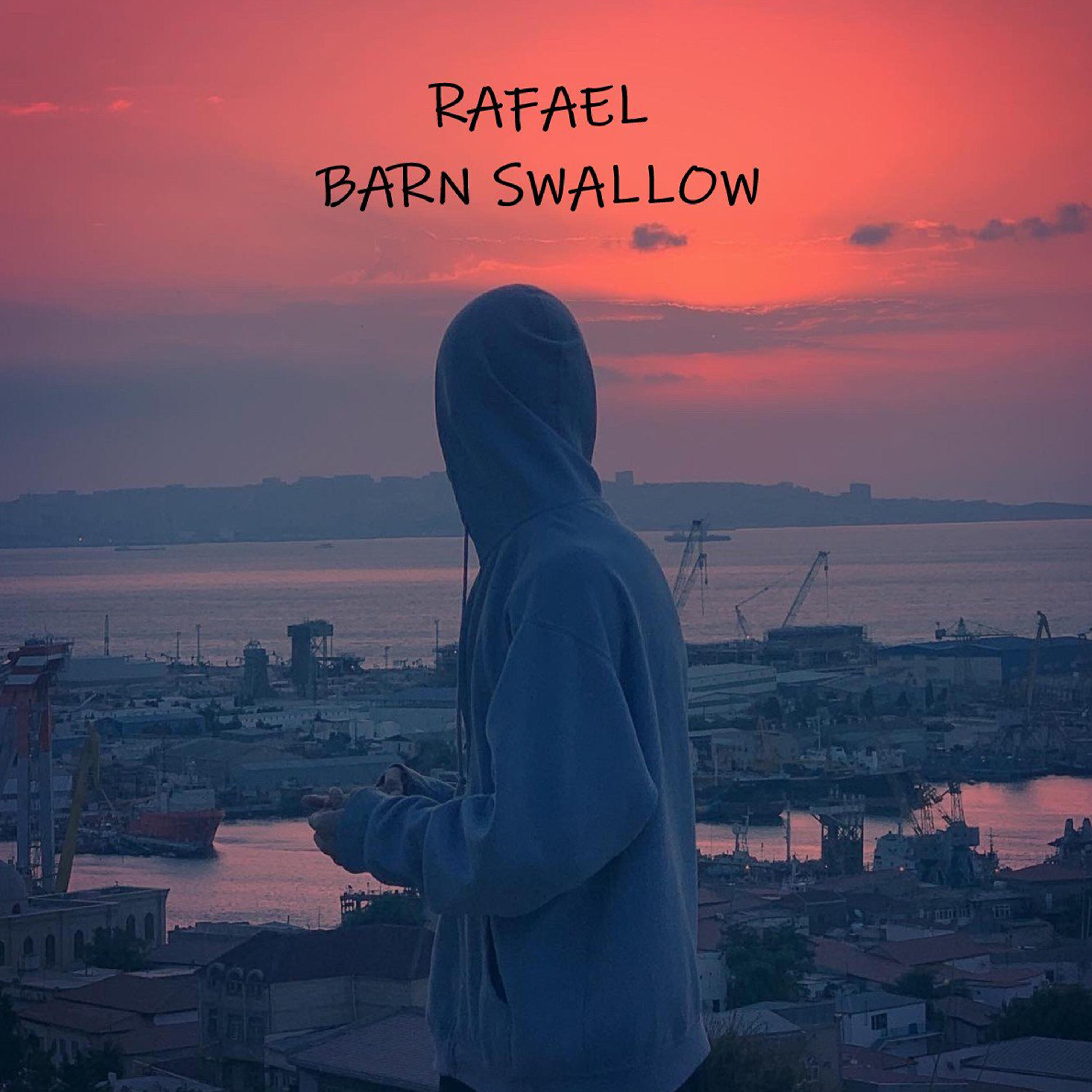 Релиз Barn Swallow