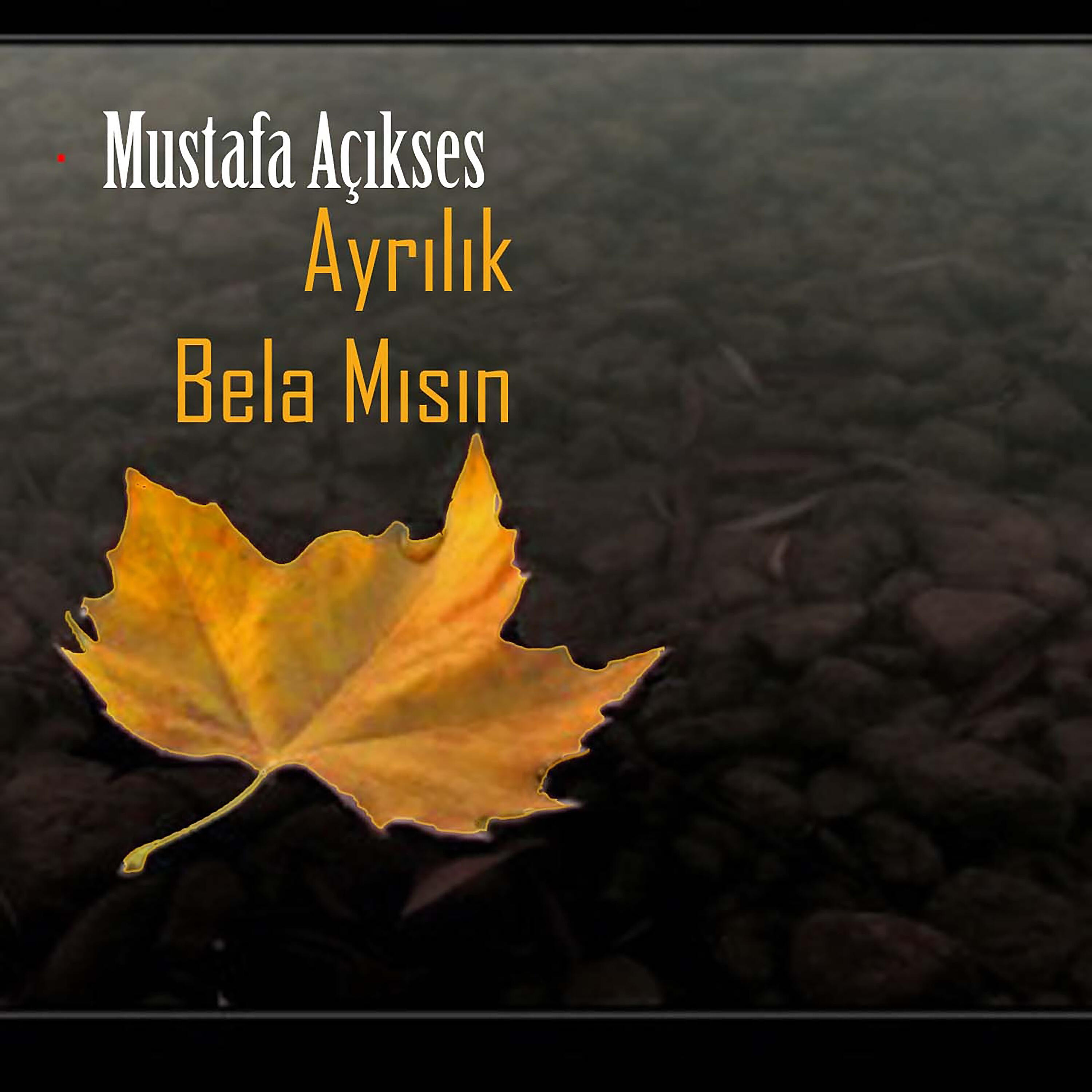 Релиз Ayrılık Bela Mısın