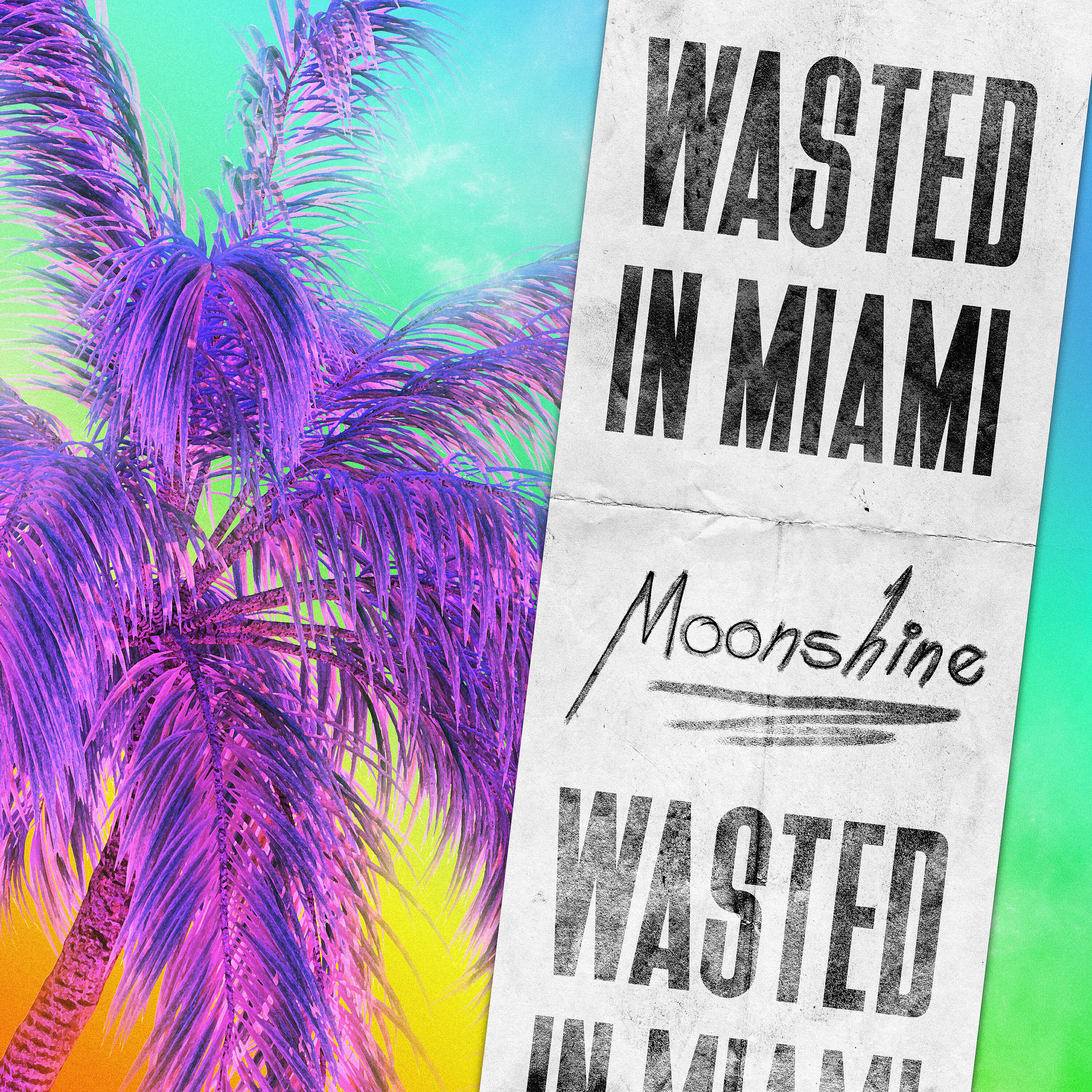 Релиз Wasted in Miami