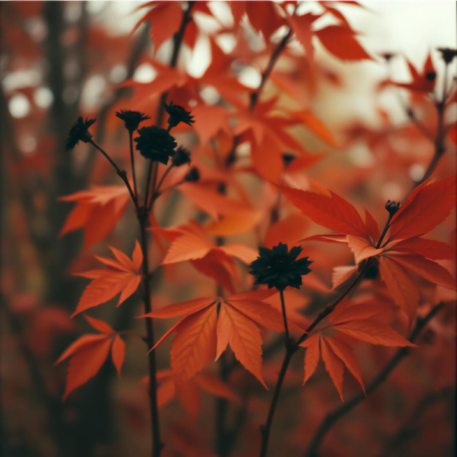sunburned_bird