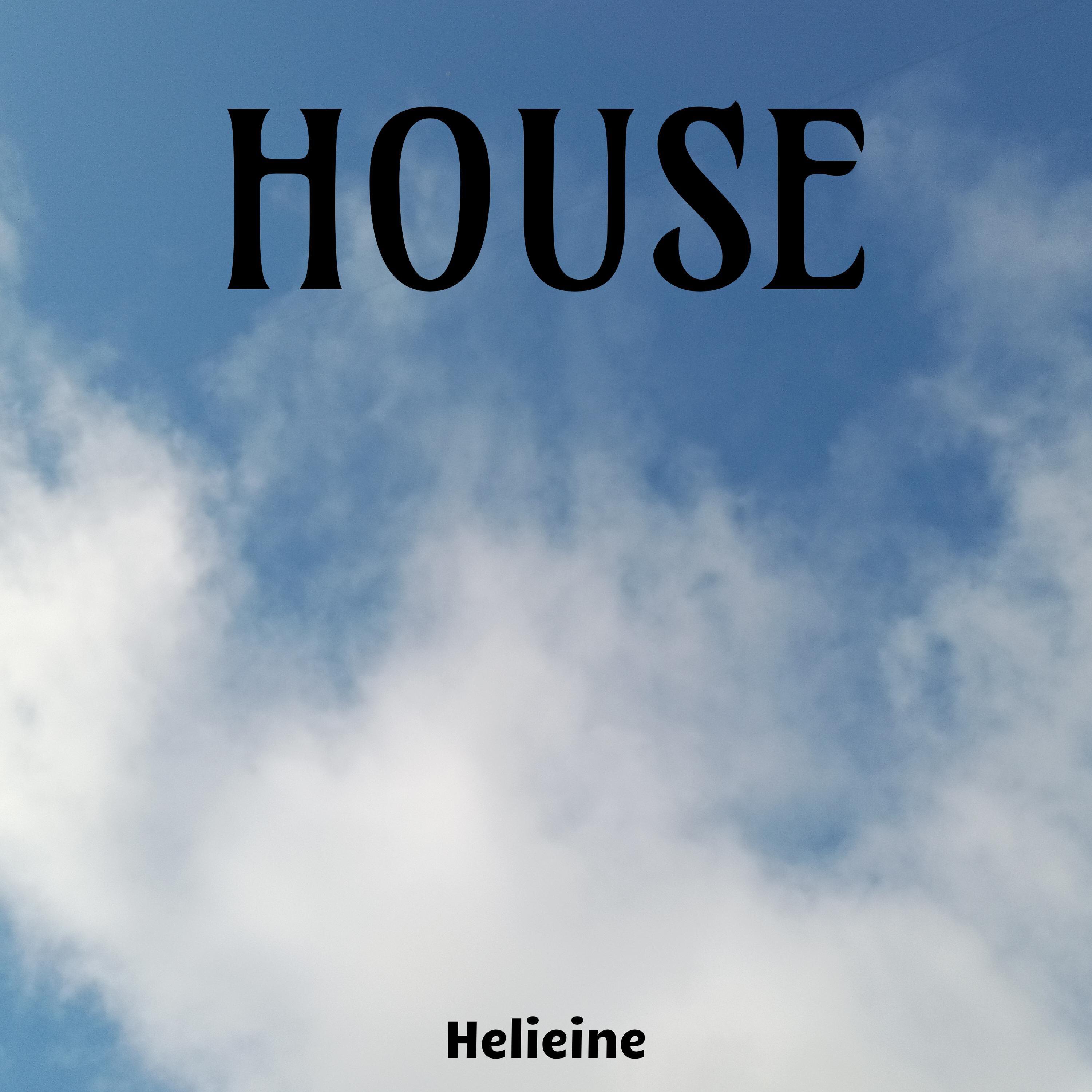 Релиз House