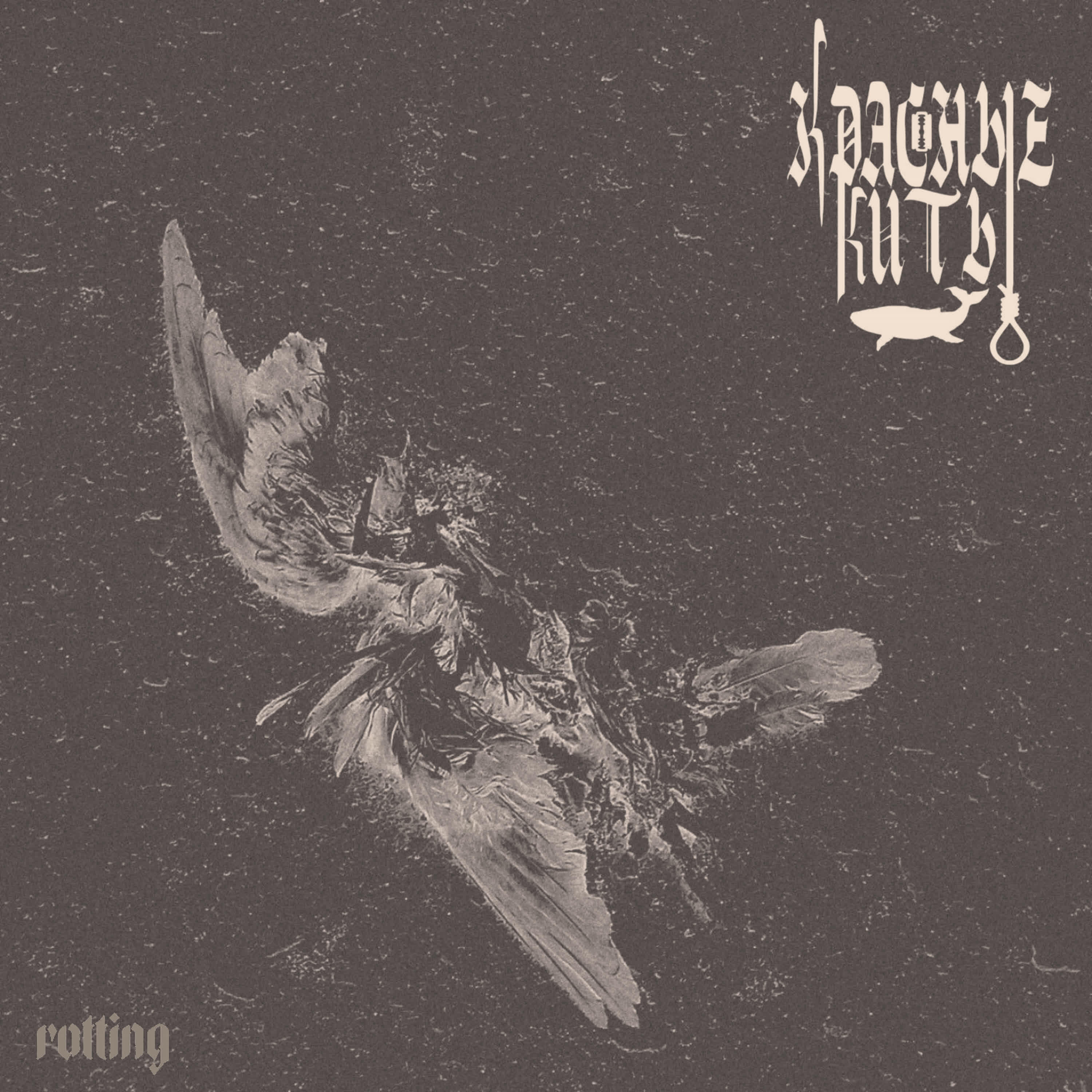 Постер альбома rotting