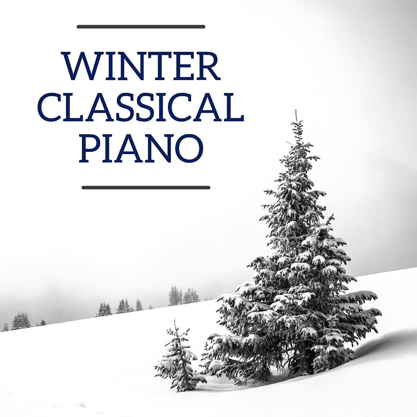 Ludwig van Beethoven, Richard Wagner, Felix Mendelssohn, Erik Satie, Frédéric Chopin, Johannes Brahms, Igor Stravinsky, Robert Schumann, Maurice Ravel, Johann Sebastian Bach, Modest Mussorgsky, Tchaikovsky, Claude Debussy